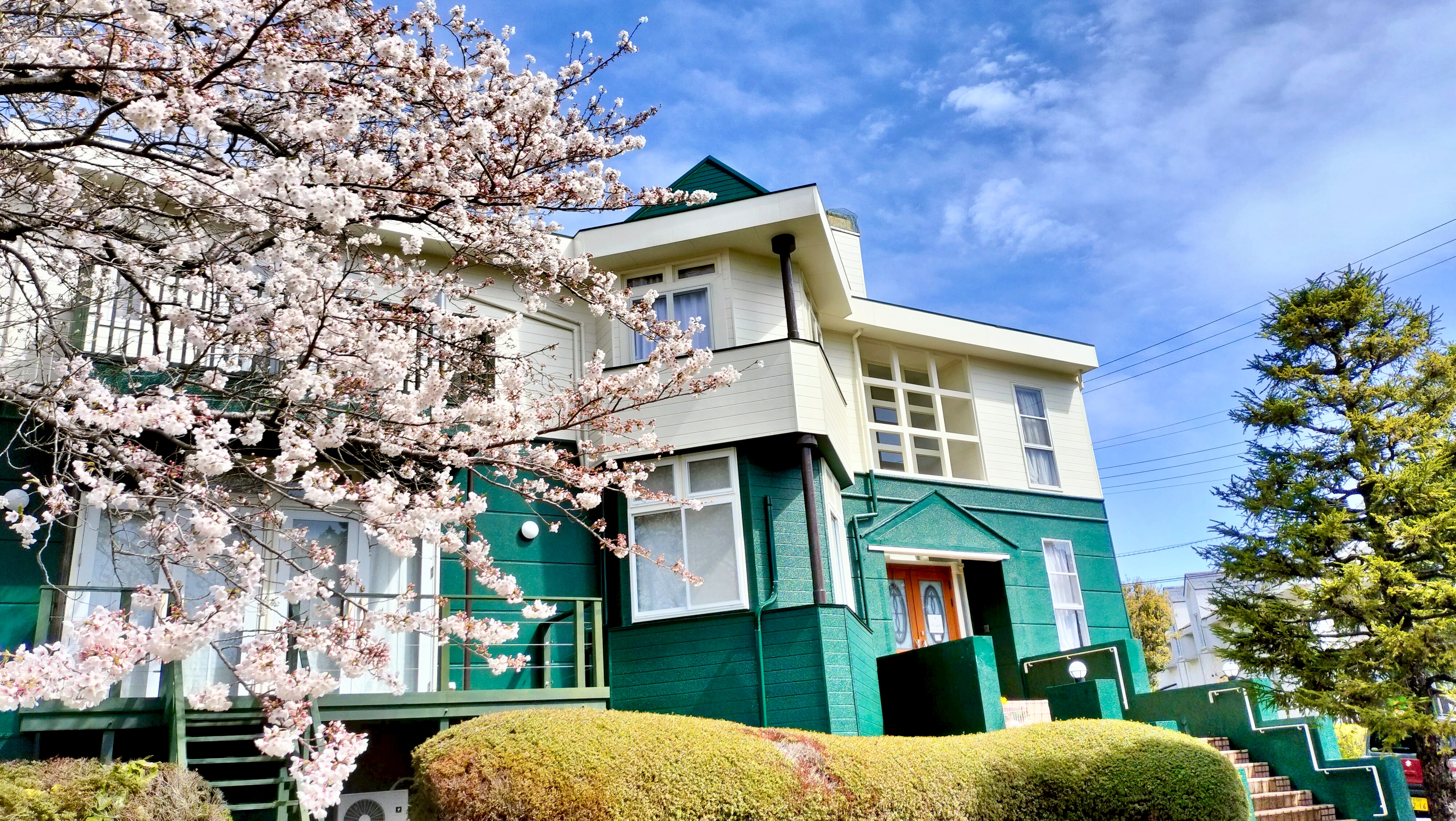 アルシオン　桜満開時