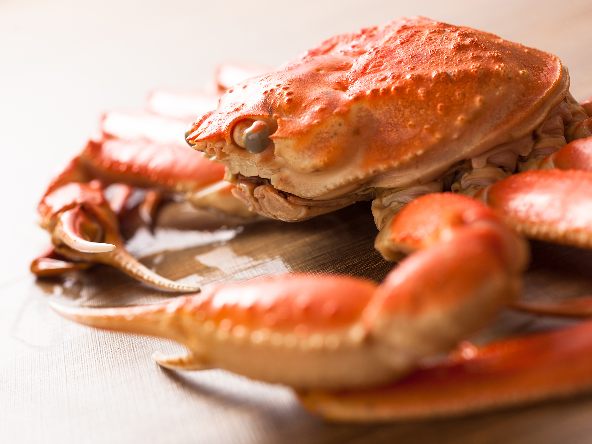 茹でがにイメージ(横から)