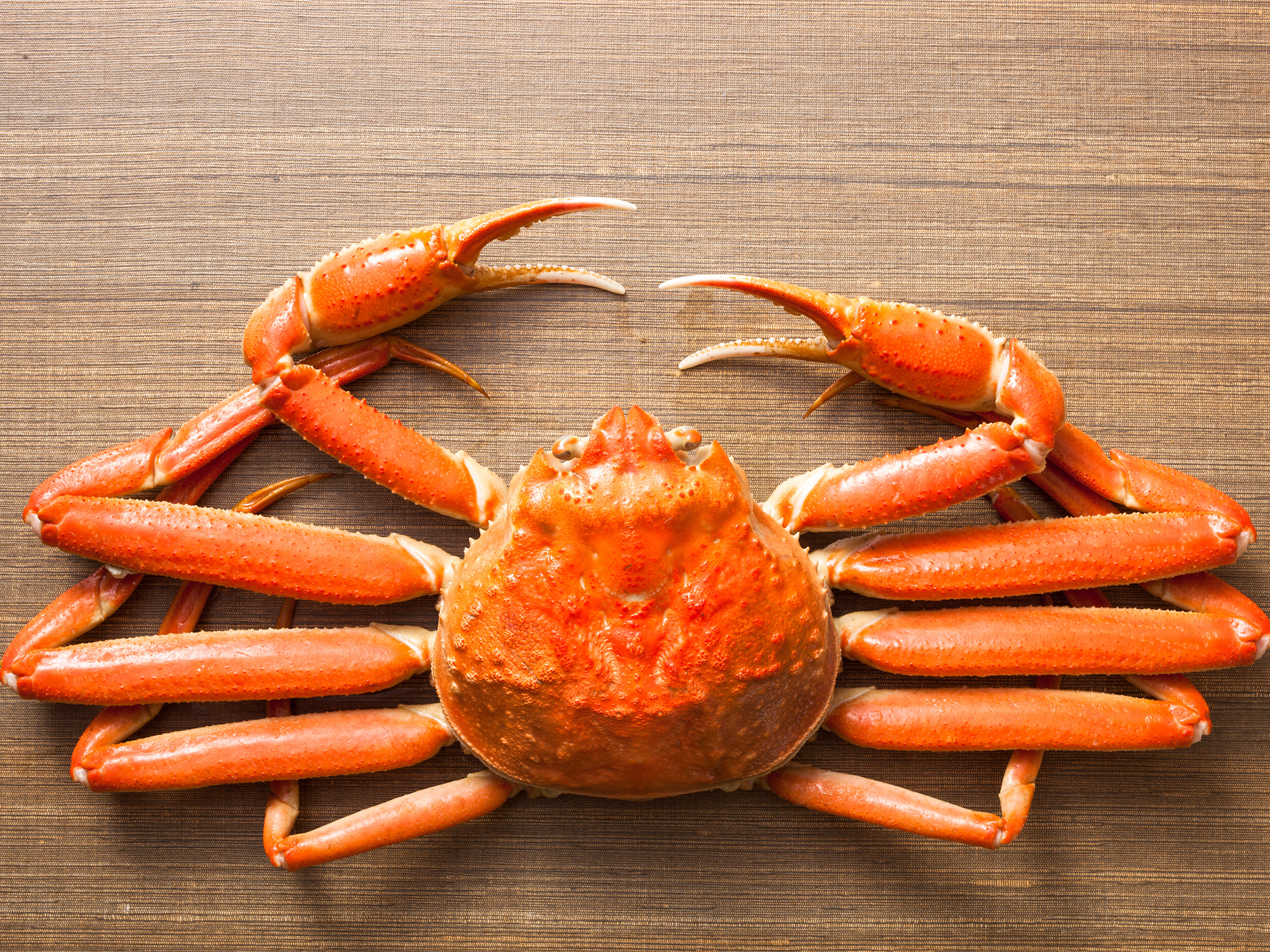 茹でがにイメージ(ふかん)