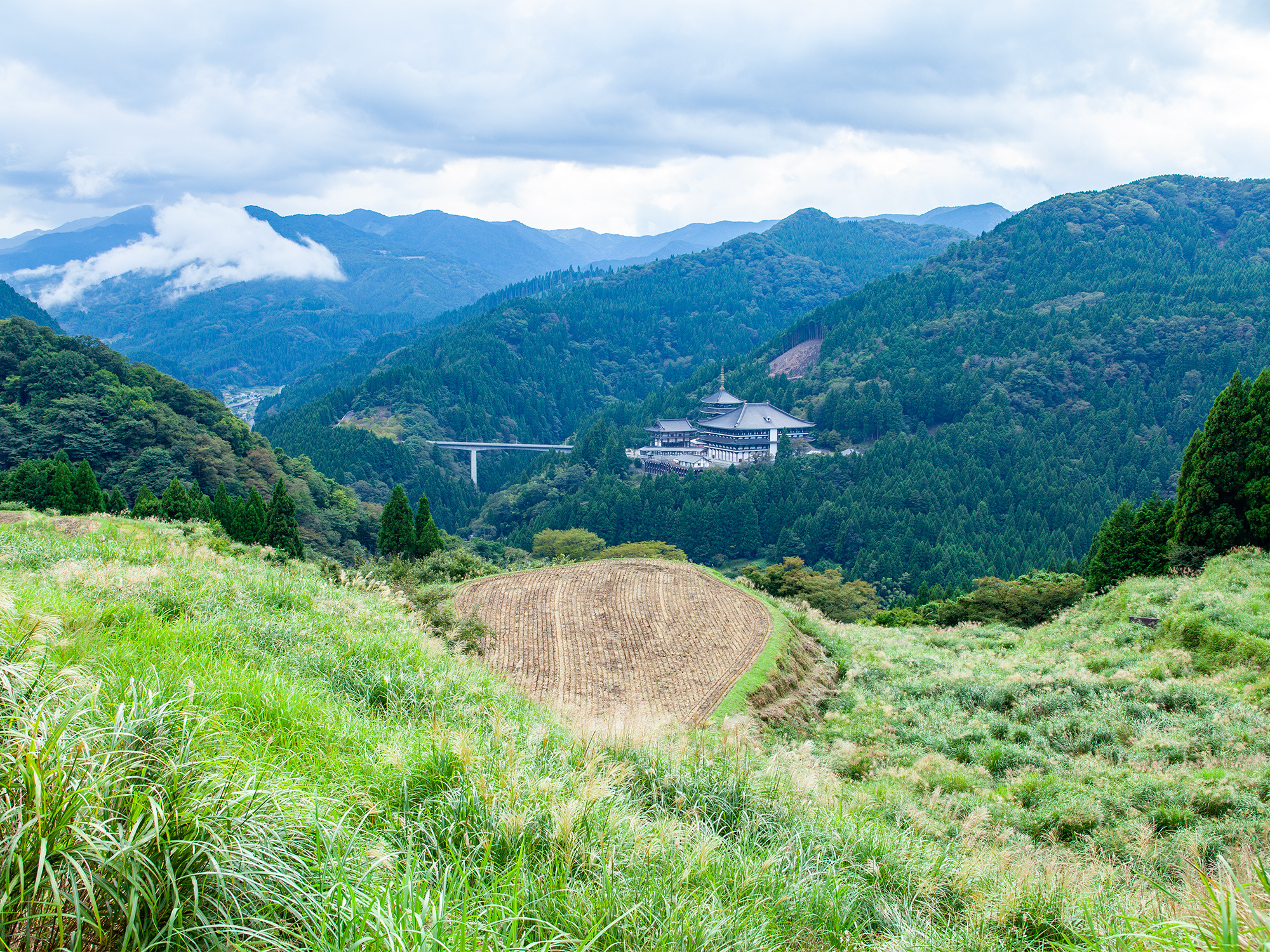 村岡区西ヶ丘の棚田と正面に見える長楽寺