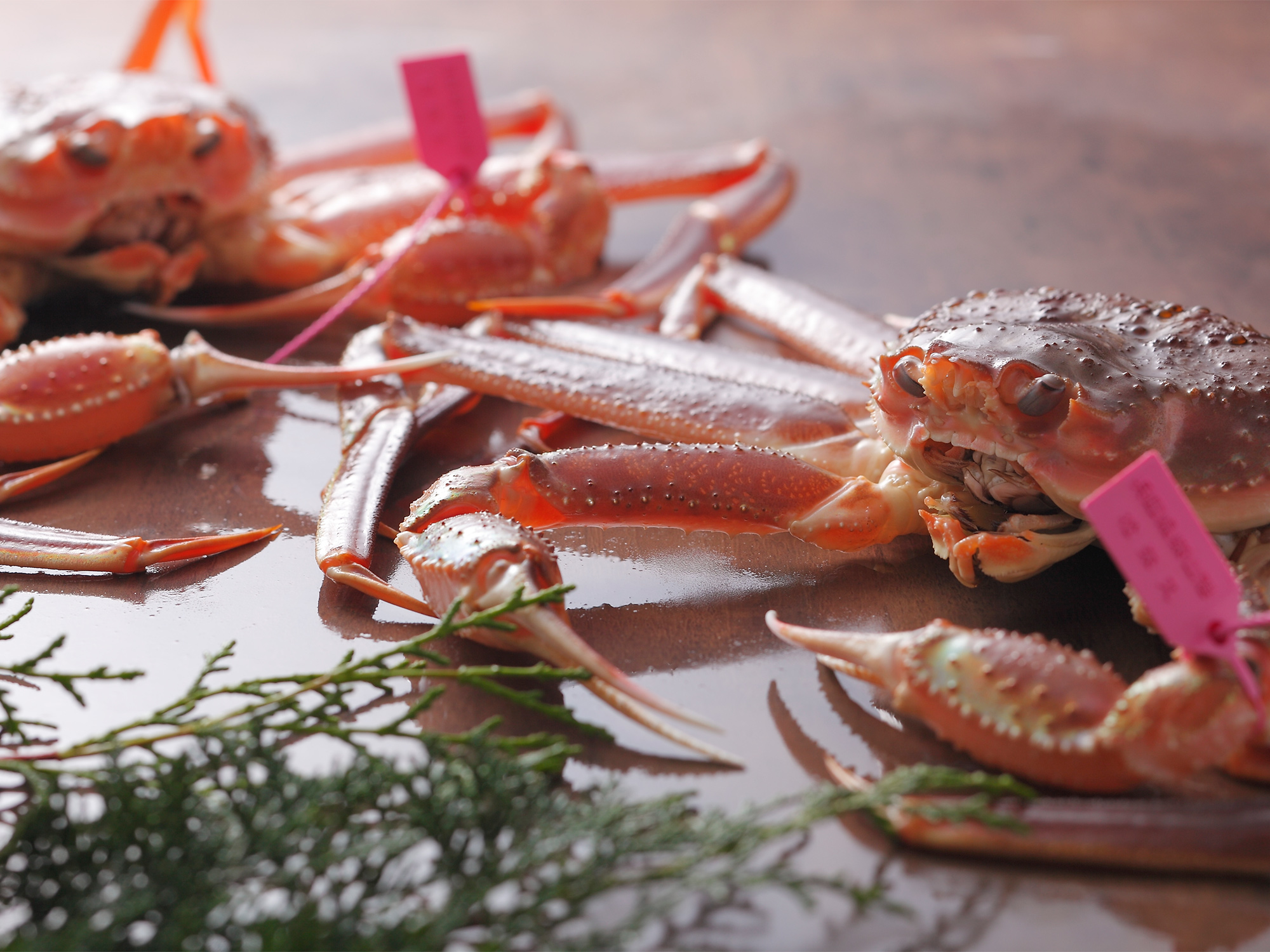 活柴山がにイメージ