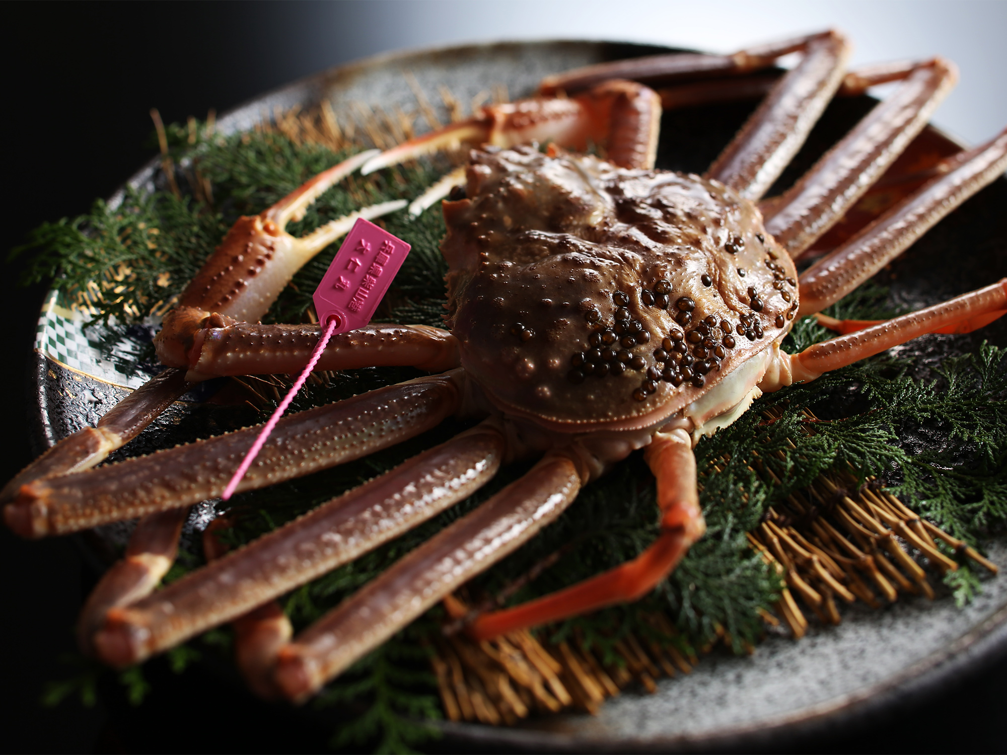 活柴山がにイメージ