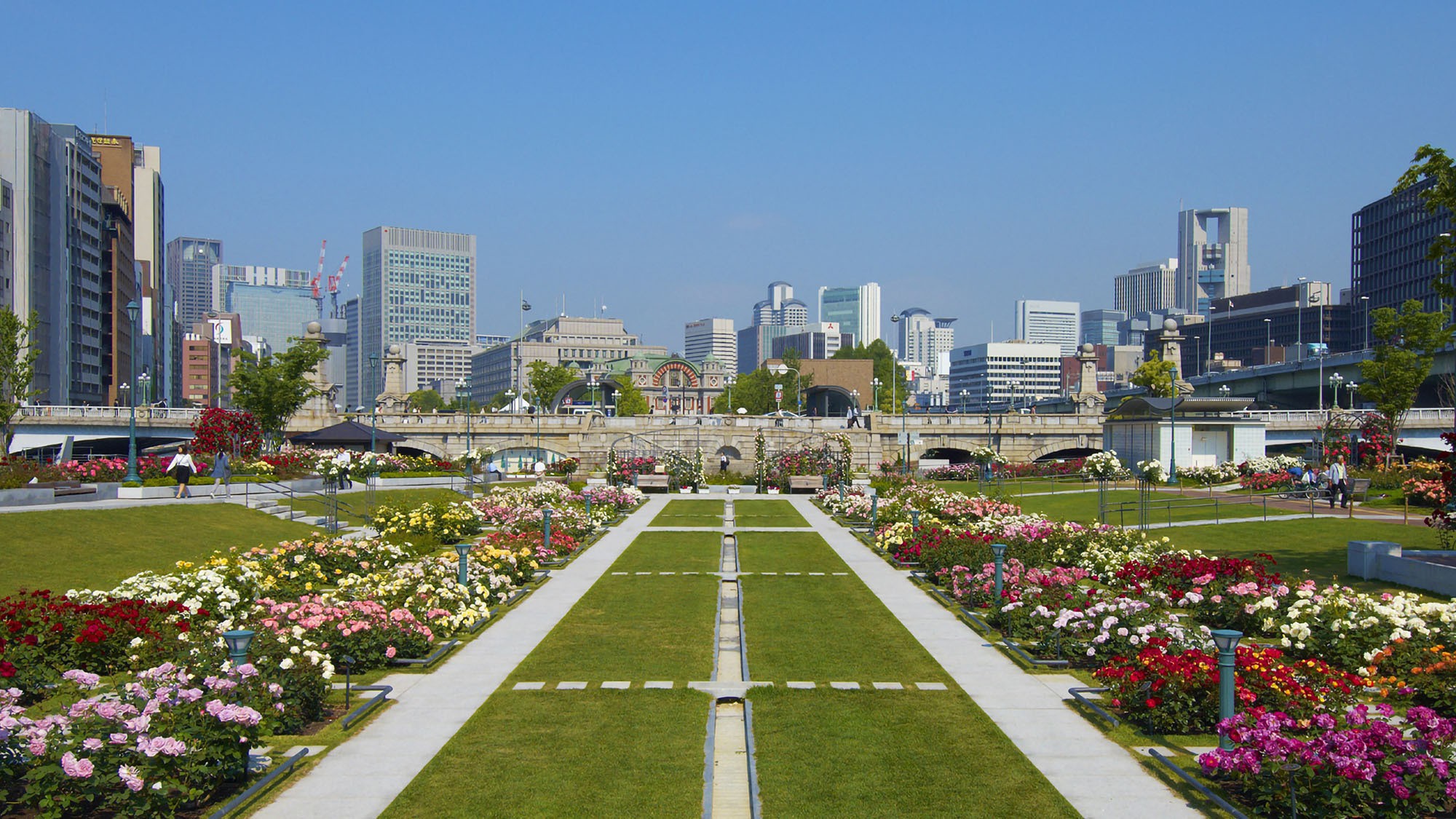 【中之島公園】＜電車で約16分＞明治24年大阪市で初めて誕生した緑あふれる都心のオアシス。バラ園も人