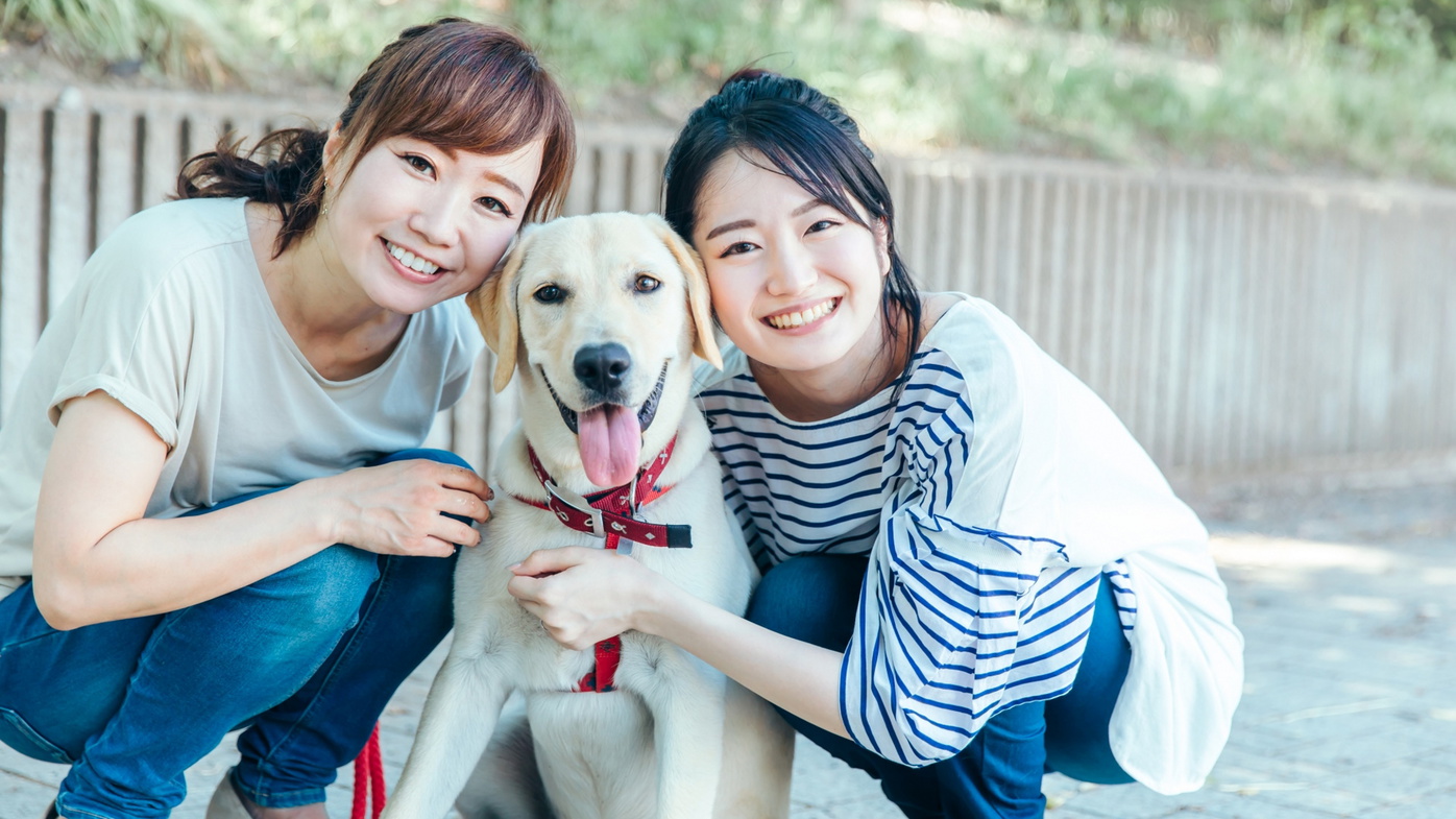 下呂温泉 濁河温泉のペットと泊まれる宿 トラベルドッグ Jp