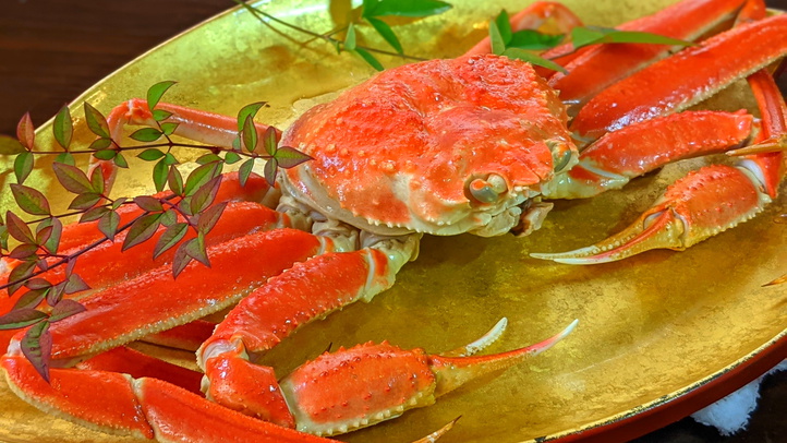 【SALE】ちょこっと夫婦蟹＜ペット歓迎＞ズワイガニ＆香箱蟹をお部屋で堪能／2食付