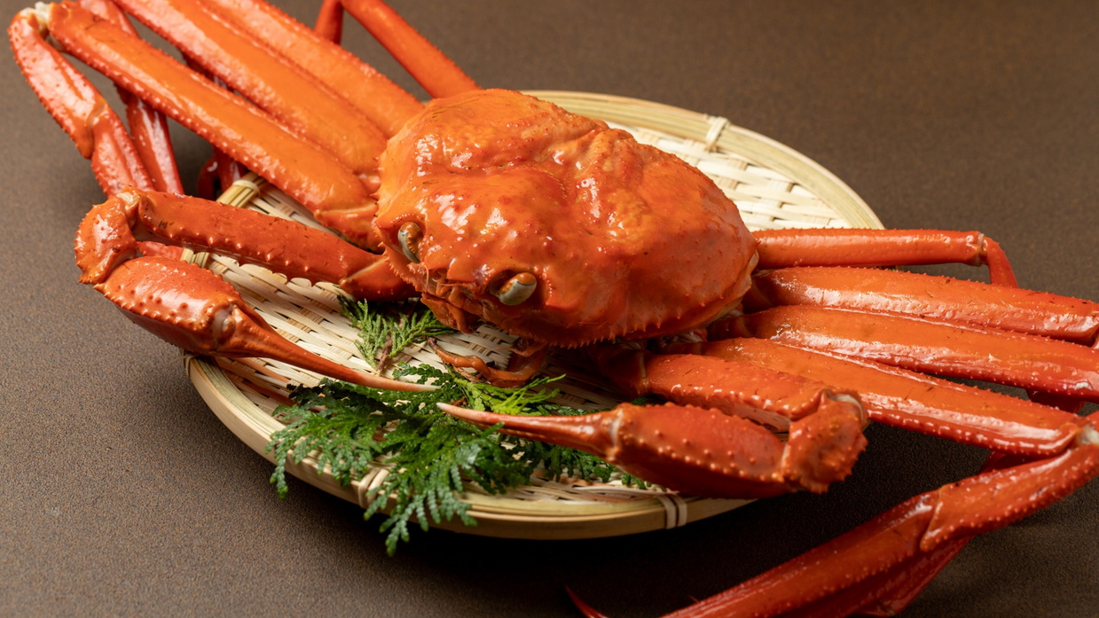 【ちょこっと夫婦蟹】＜ペット歓迎＞ズワイガニ＆香箱蟹をお部屋で堪能／2食付