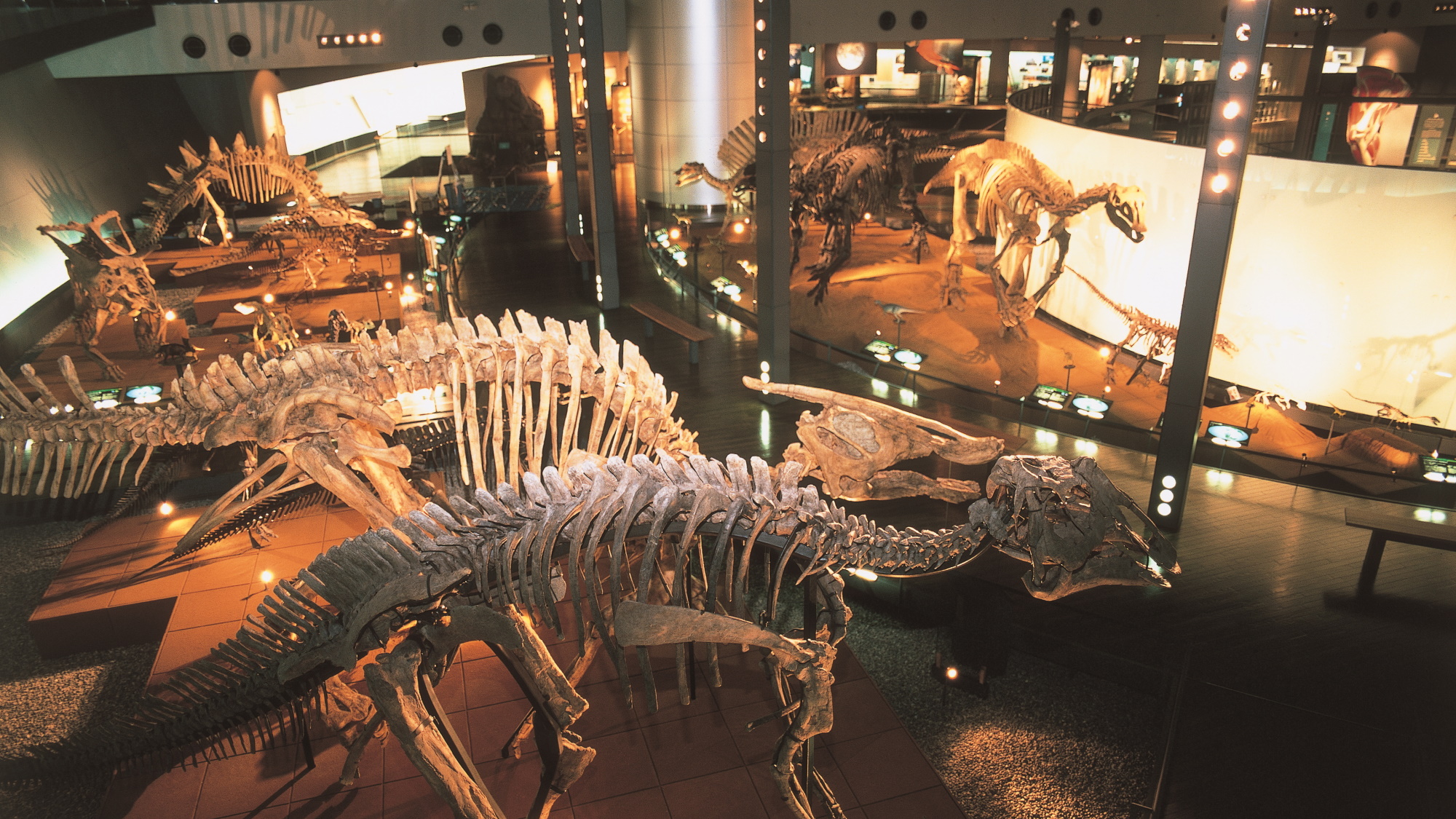 【福井県立恐竜博物館】世界三大恐竜博物館と称され、日本を代表する恐竜博物館です。