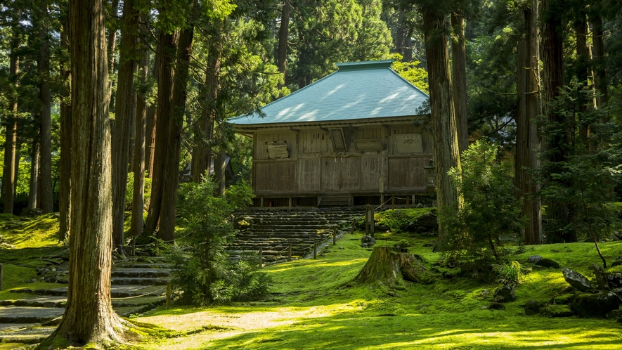 【平泉寺白山神社】日本の道100選に選出されています。一面に広がった苔が美しく風情があります。