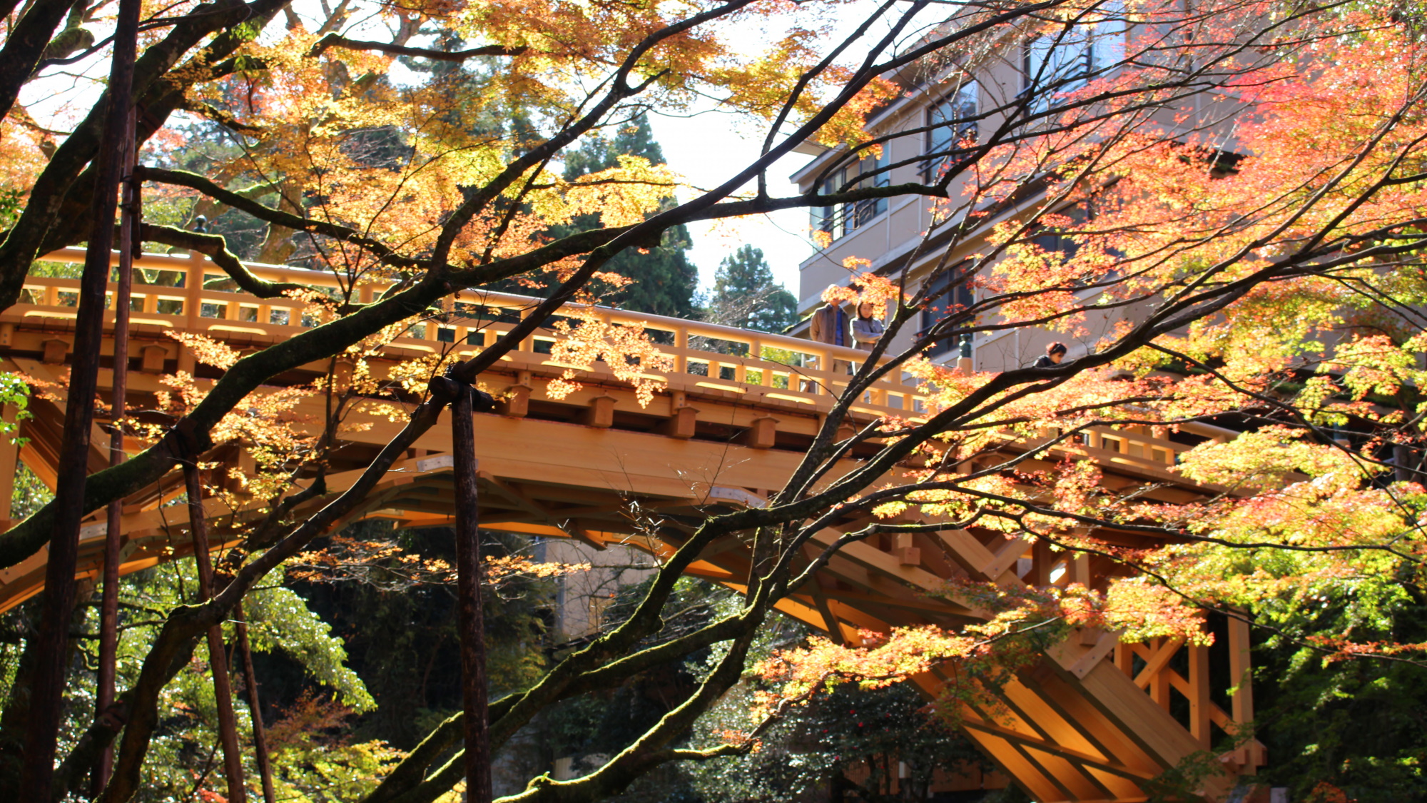【こおろぎ橋】山中温泉の代表的な景勝地。紅葉の季節がオススメです。