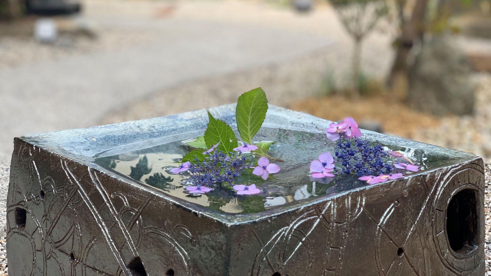 *【庭先】季節の花を浮かべた癒しの風景です