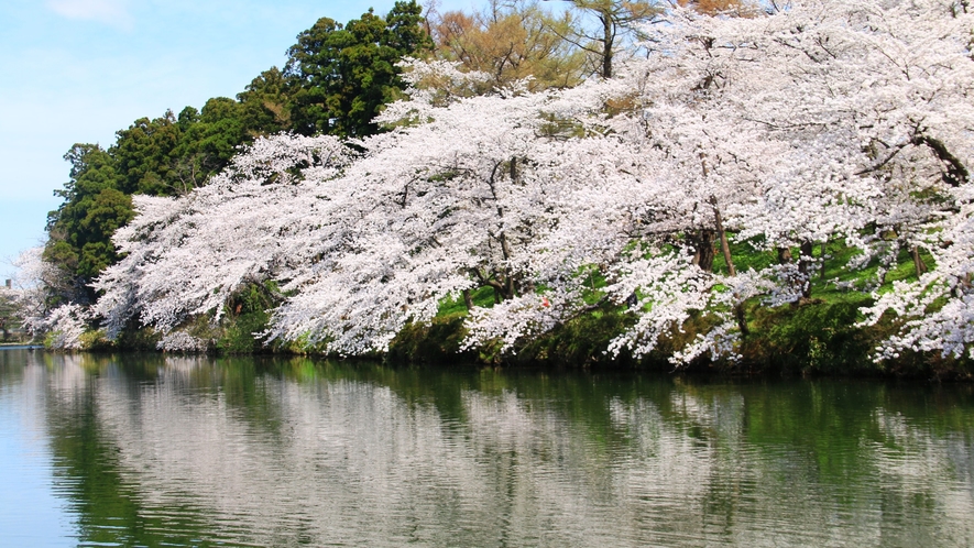 【高田城址公園】日本三大夜桜にも数えられる桜の名所。車40分程度です。