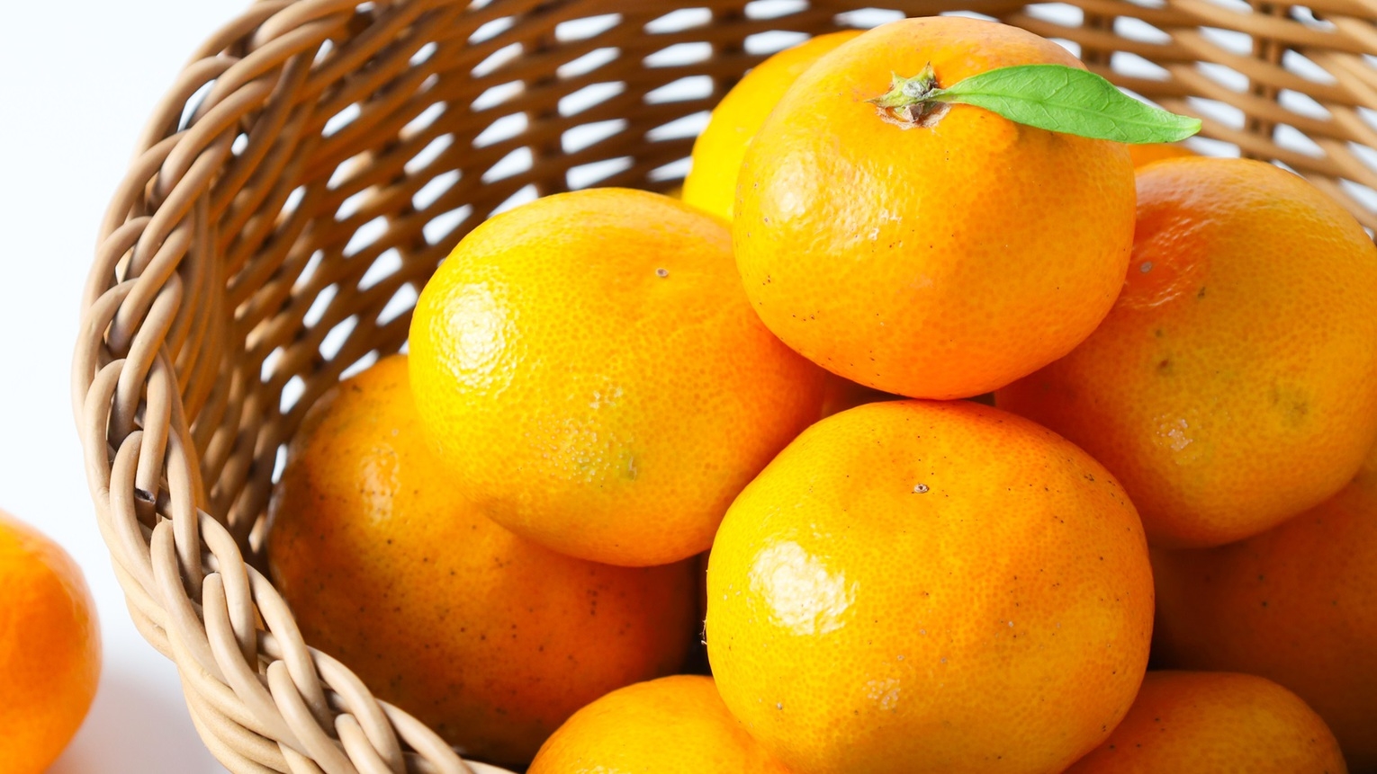 【みかん日和】湯河原の恵みを味わう冬限定みかんづくしプラン／4大特典付き＜基本コース★雅＞