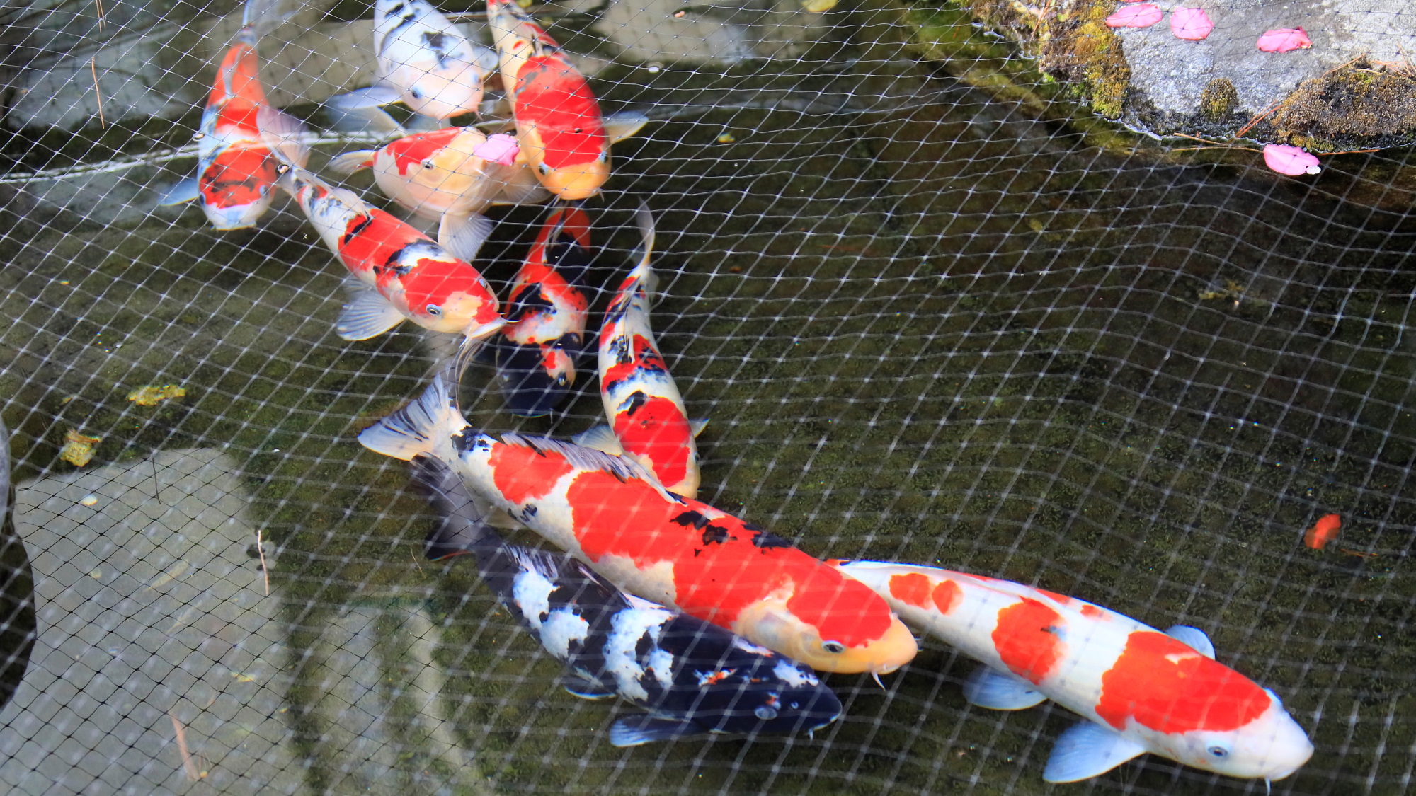 中庭◆ご自由に外に出ることも可能です
