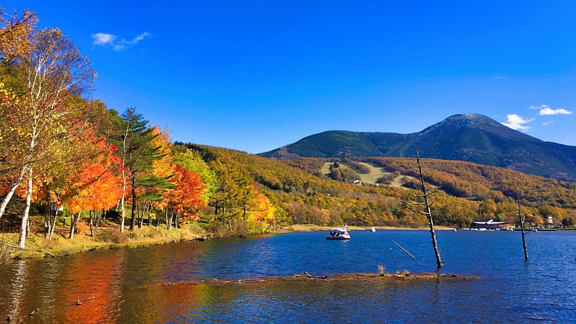 深い青空と鮮やかな紅葉とのコントラストが美しい、秋の女神湖。