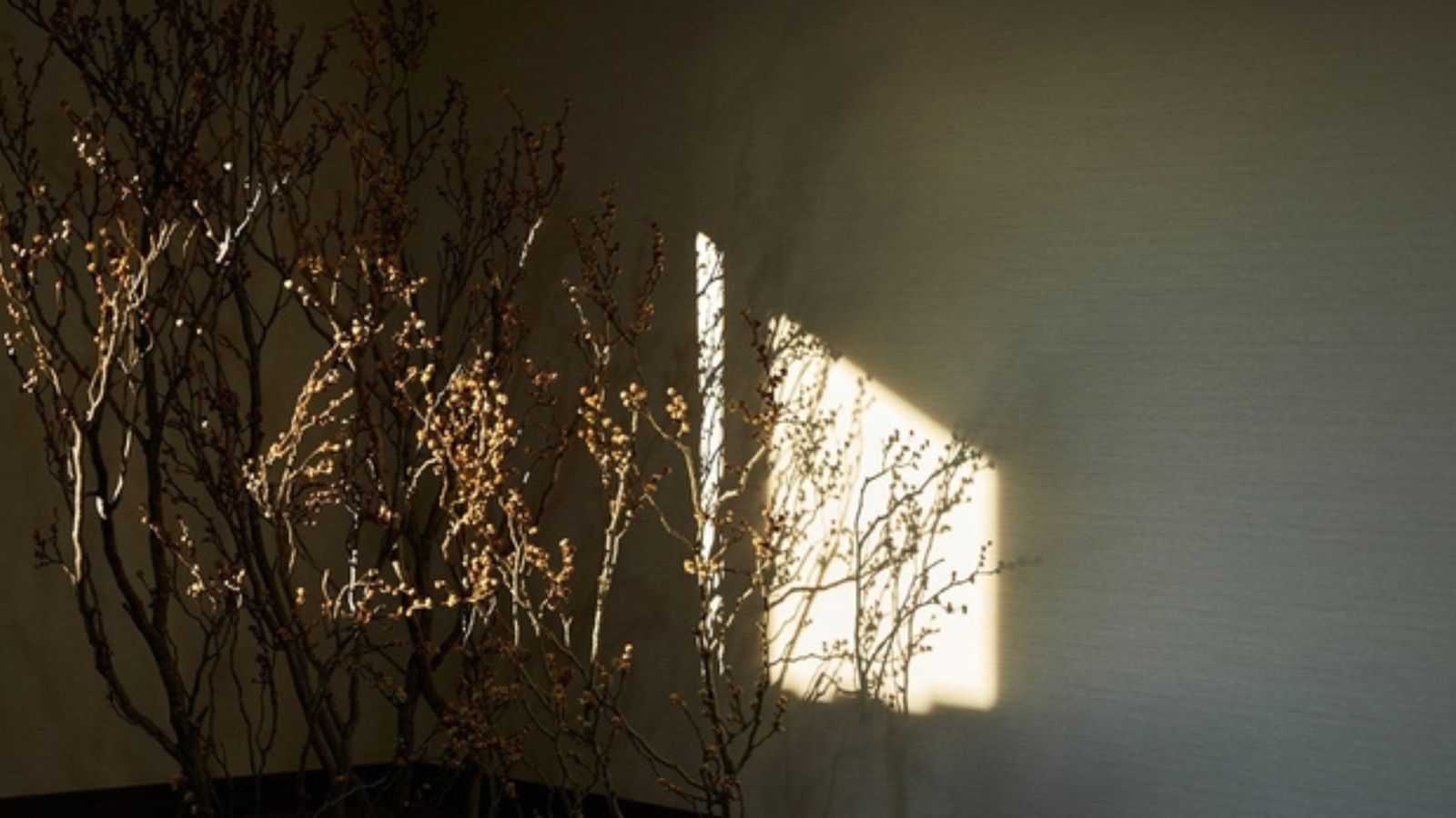 【空-kuu-】最上階スイート|オーシャンビュー