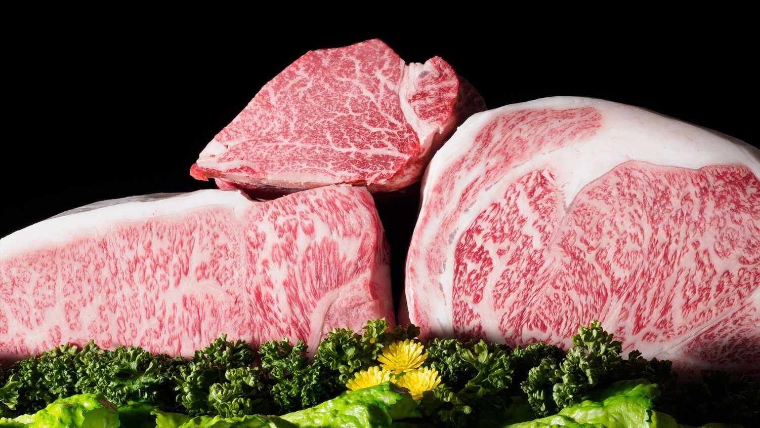 【楽天スーパーSALE】5％OFF日本三大和牛松坂牛を食べ尽くす贅沢プラン｜お部屋食の夕食・朝食付