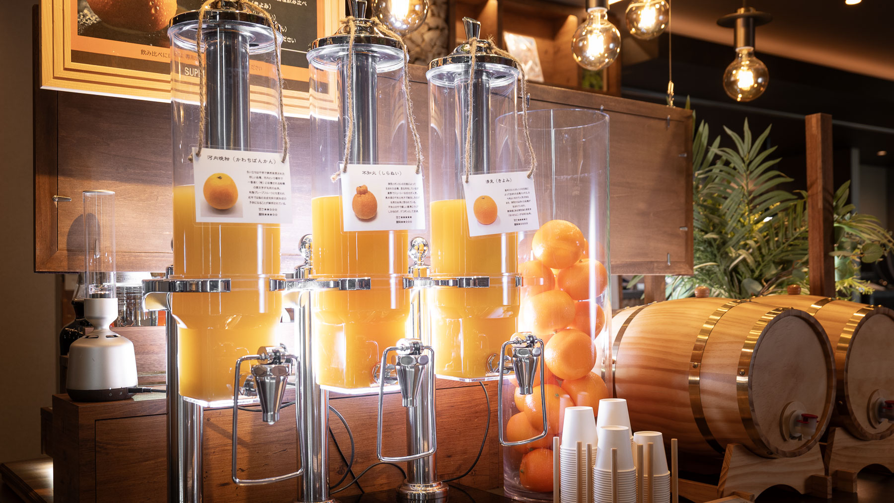 18時から21時の間に楽しめる愛媛3種ミカンジュース飲み比べ※おひとり様1回まで。なくなり次第終了