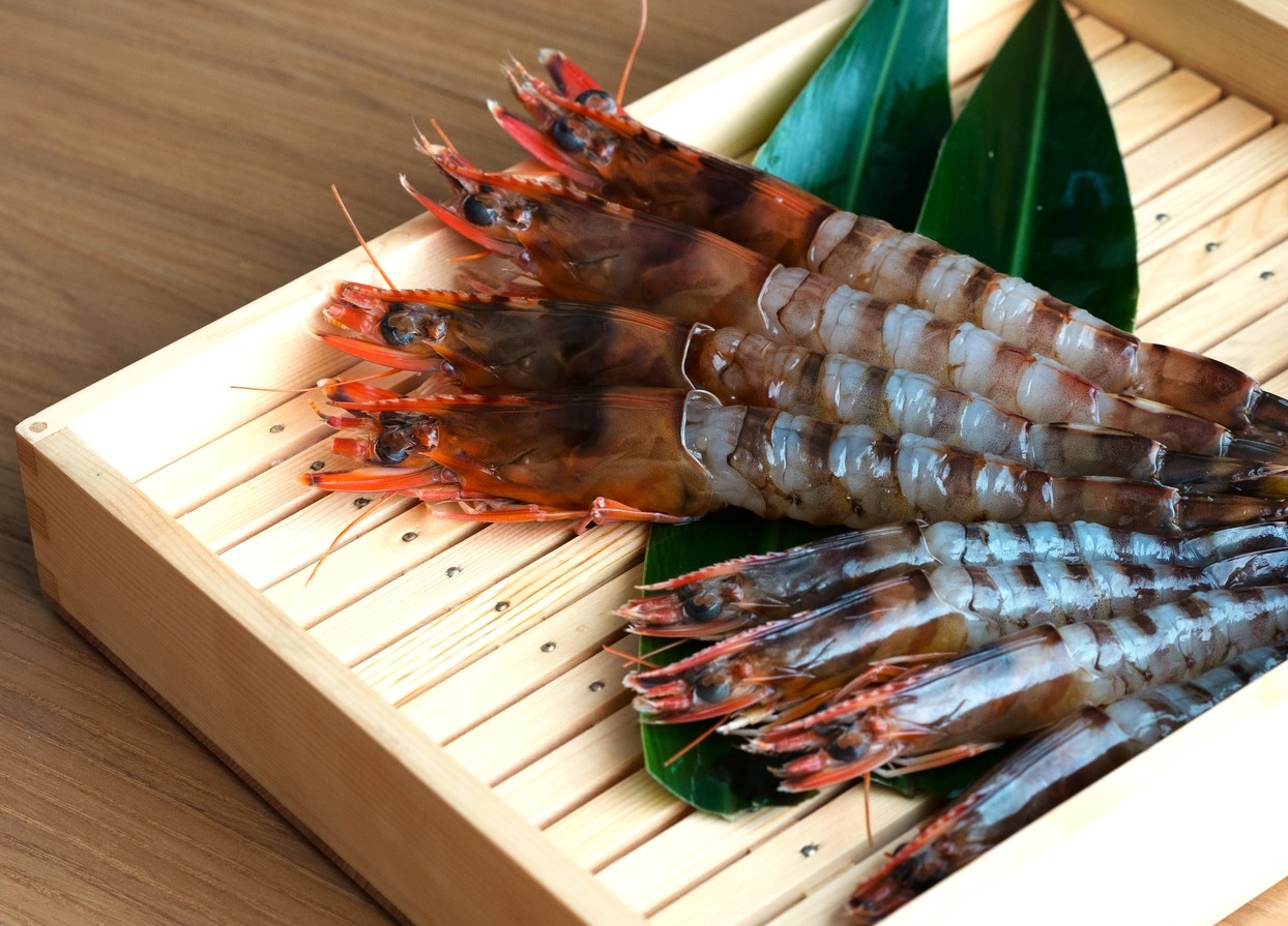 【車海老食堂たまや】屋我地島産車海老のしゃぶしゃぶをご堪能ください♪　(夕食付)