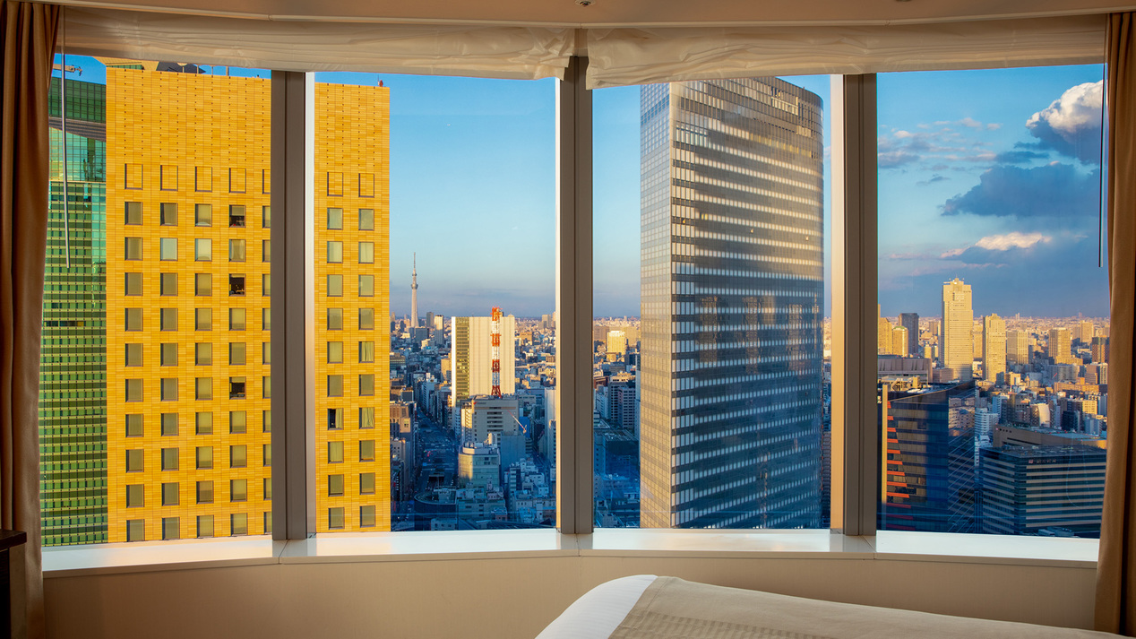 【デラックストリプル（ツイン＆ソファーベッド）　33平米　ベッド：Ｗ 1,100 &times; 3台】