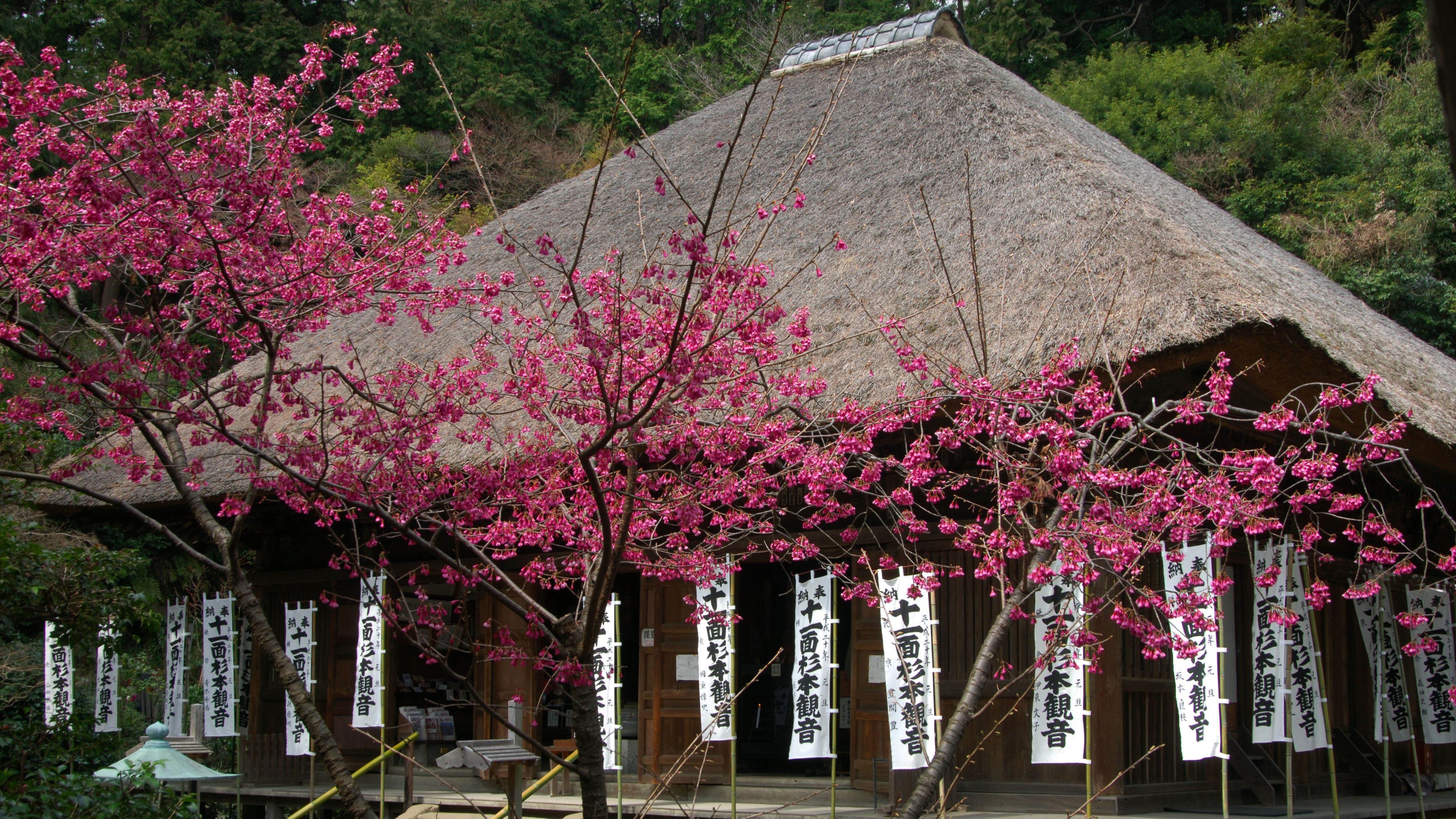 杉本寺