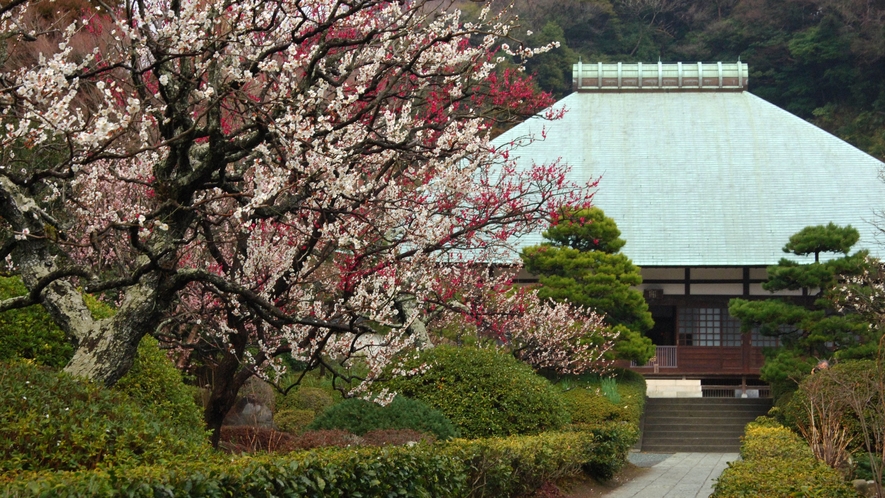 浄妙寺