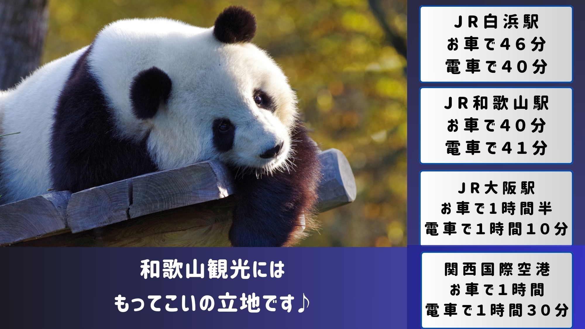 観光案内