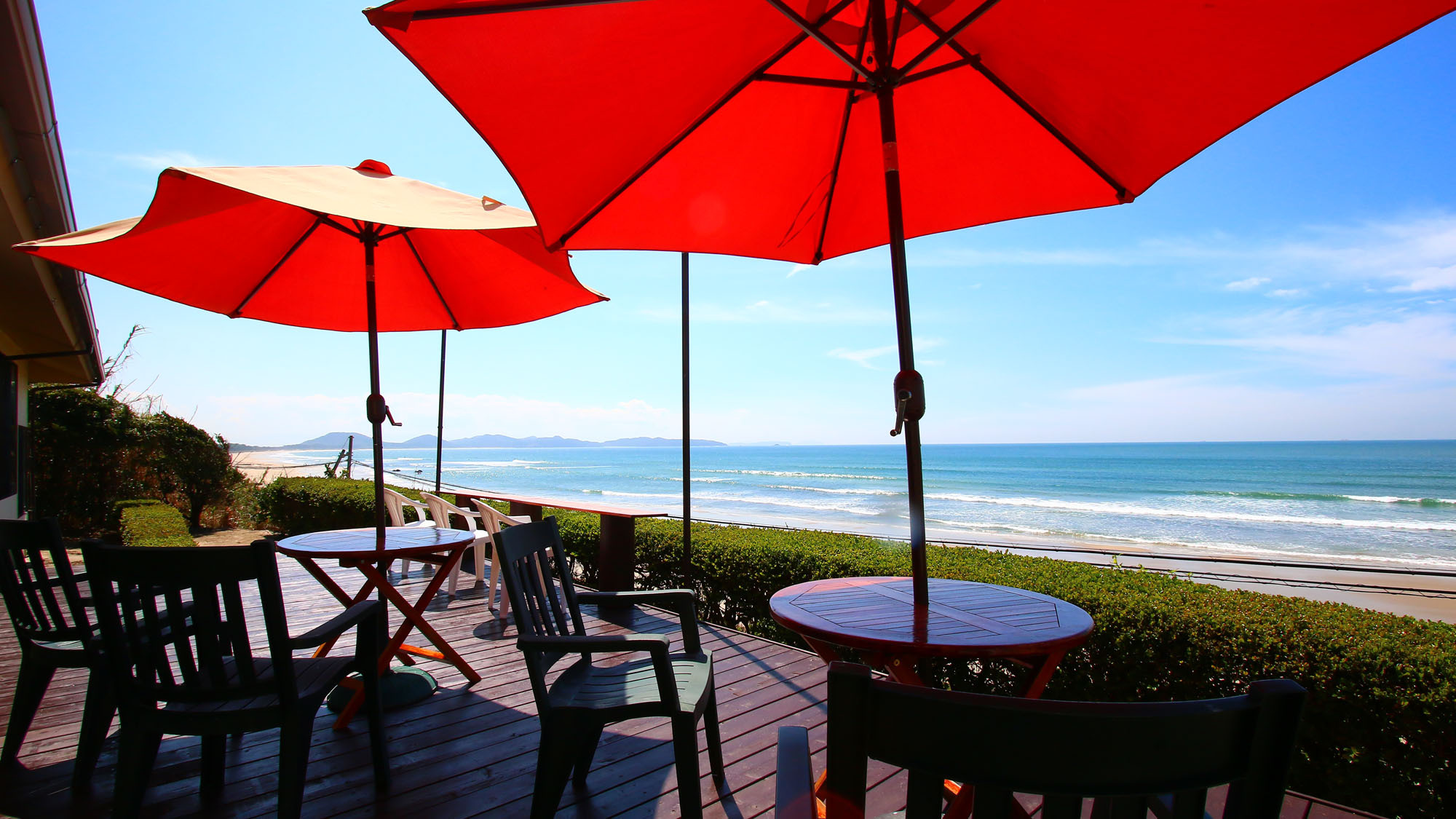 【直前割★お日にち限定！！】リーズナブルに海の幸会席を♪【神湊懐石】