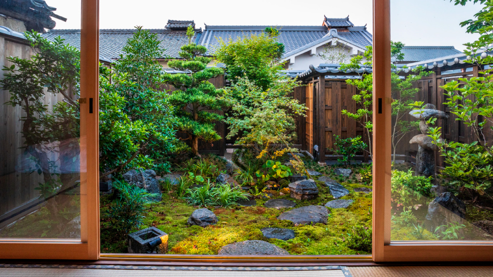 山吹：お庭