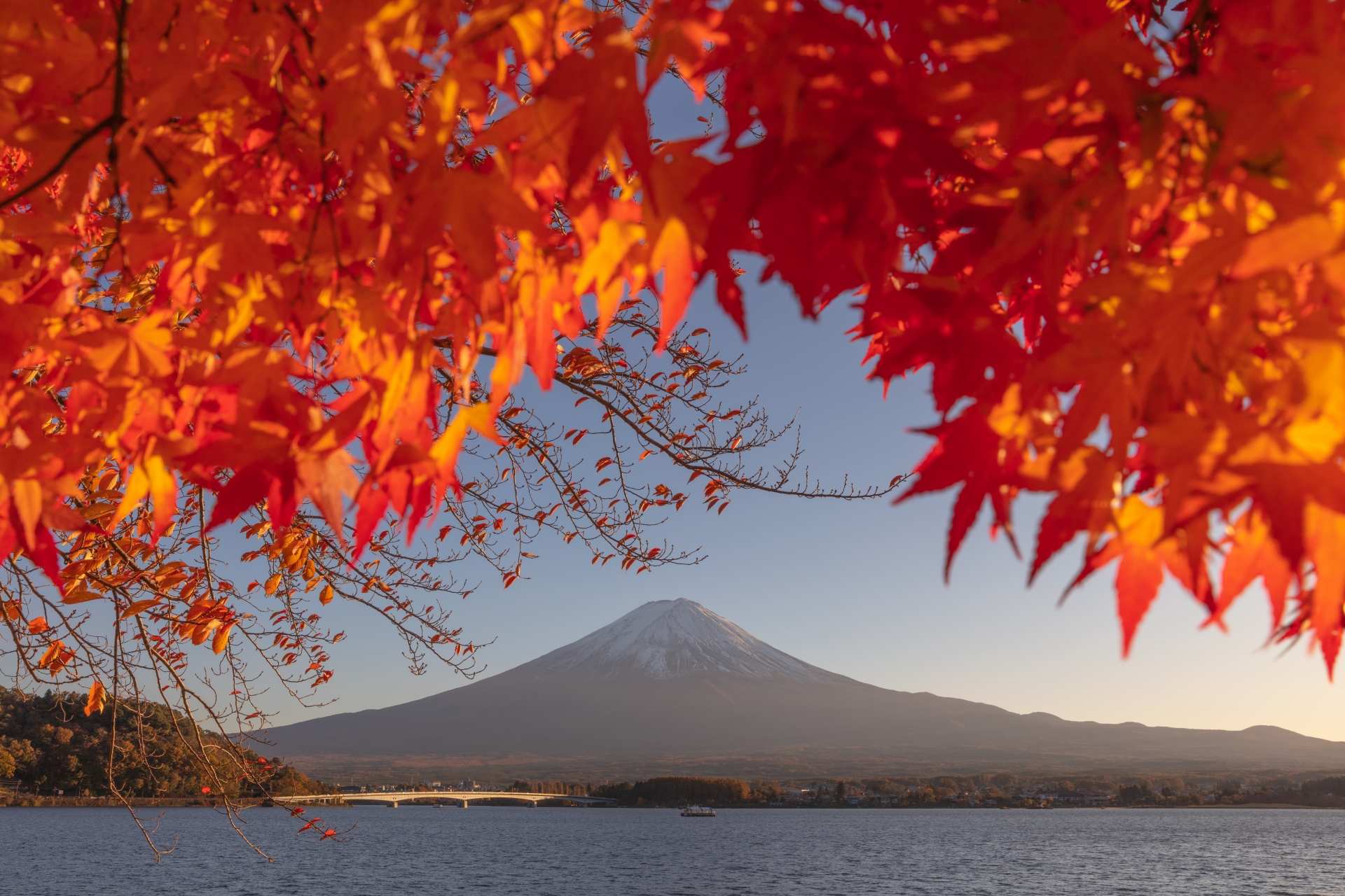 秋の富士山