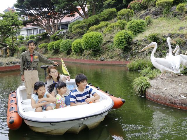 伊豆シャボテン公園（当館より車26分）