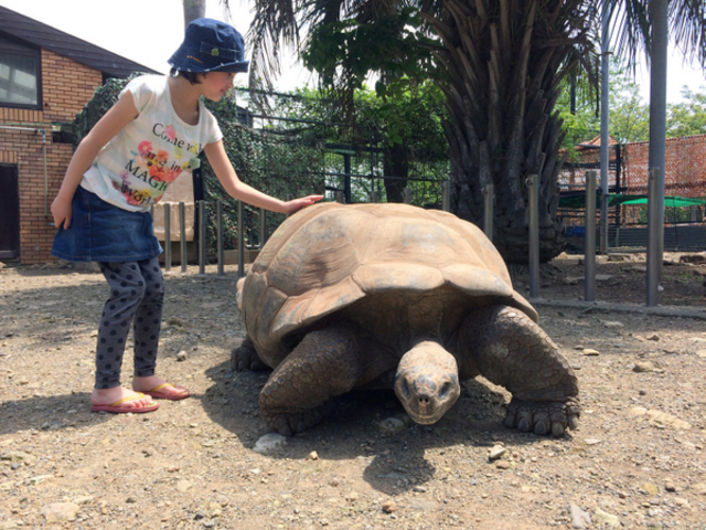 体感型動物園iZoo【イズー】（当館より車25分）