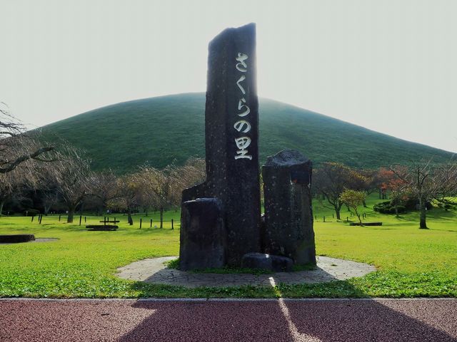 大室山さくらの里（当館より車24分）