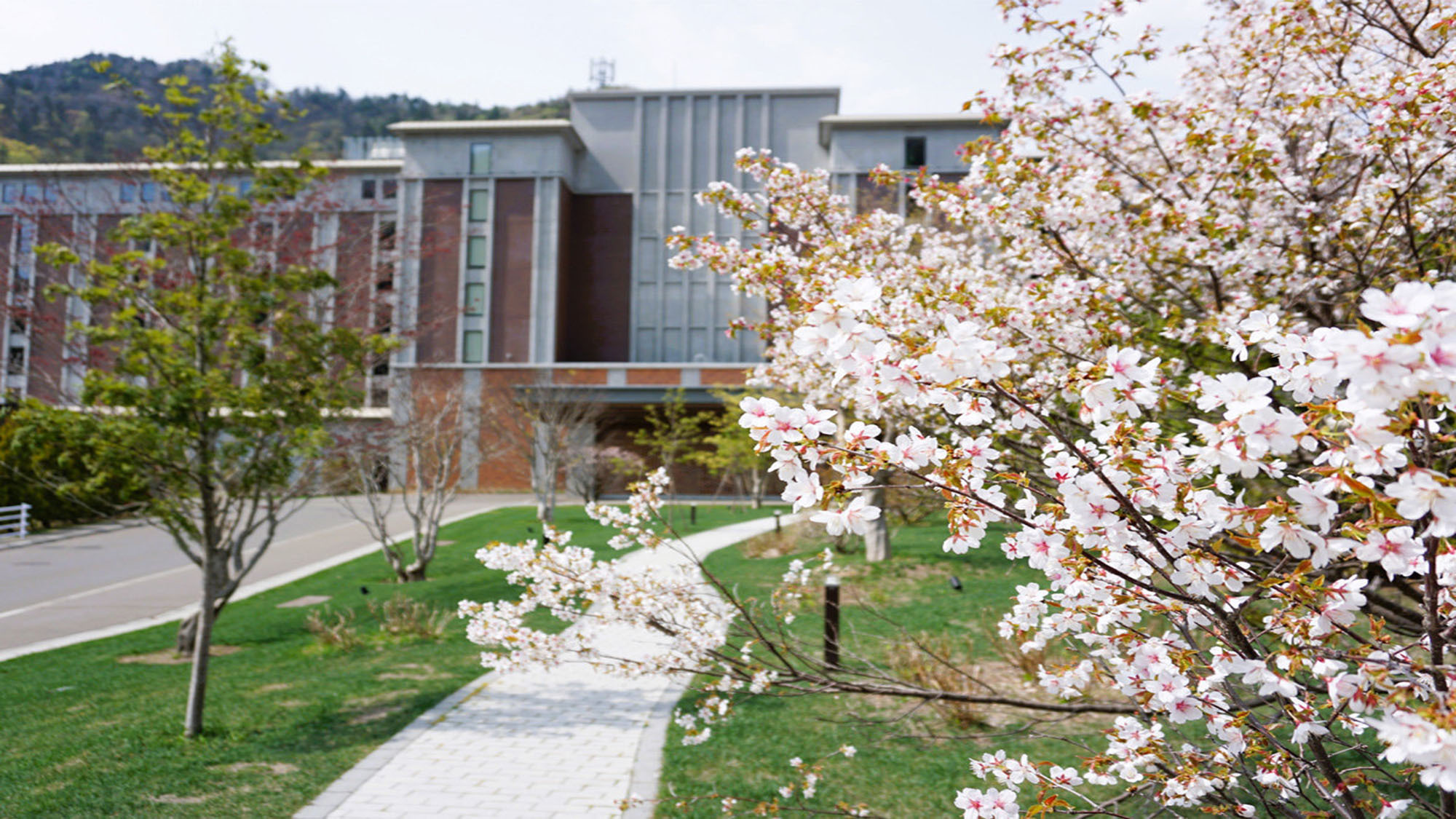 【3〜5月春限定】桜の約束〜夕食時に乾杯用スプマンテ“SAKURA”サービス 1日10室限定／2食付