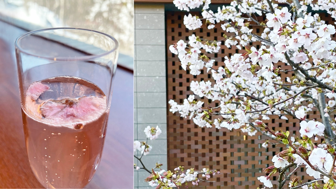 =季節限定= 桜にのせて〜夕食時に”桜のスパークリングワイン”付き