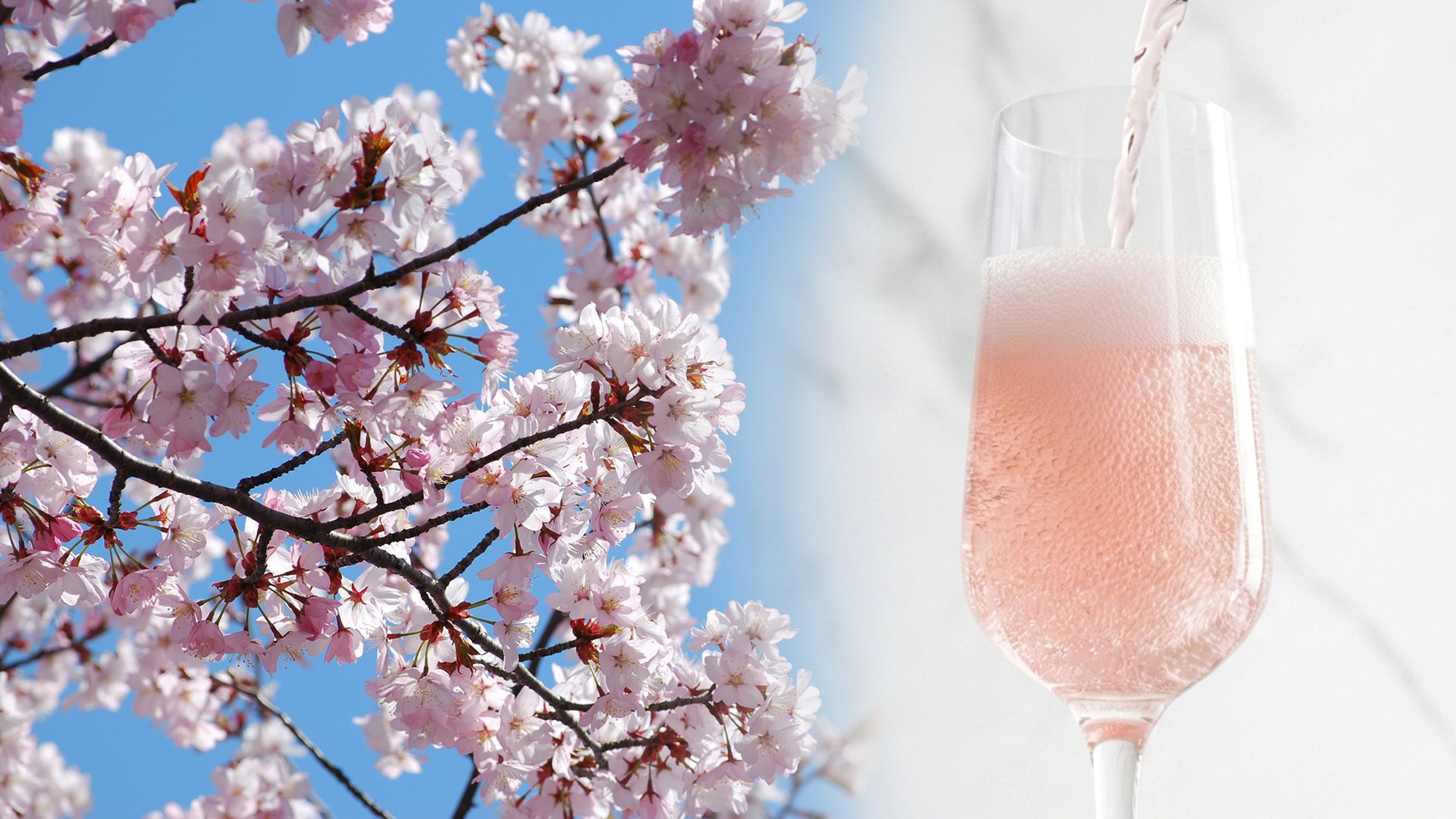 【3〜5月春限定】桜の約束〜夕食時に乾杯用スプマンテ“SAKURA”サービス 1日10室限定／2食付
