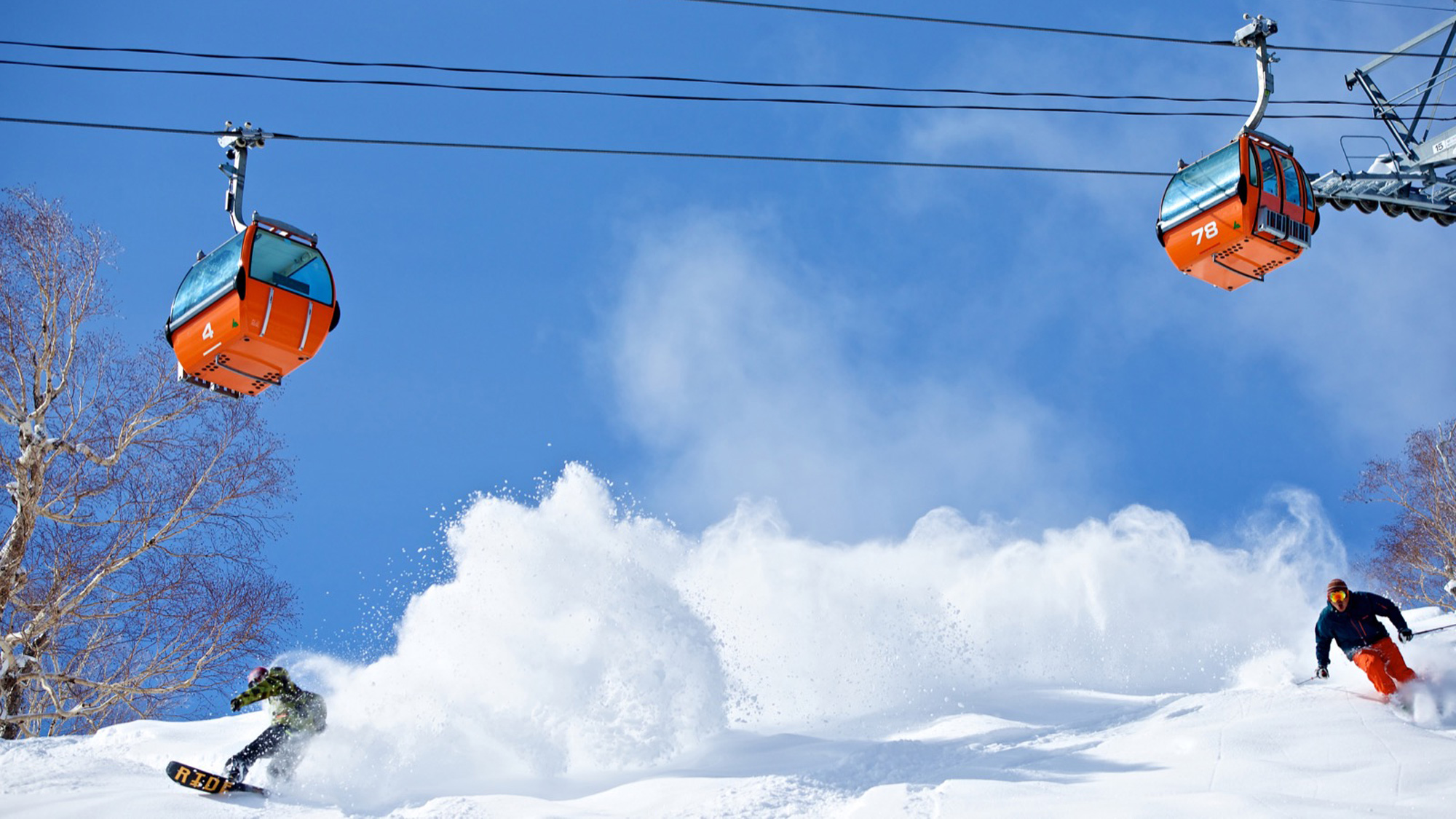 パウダースノーが楽しめる国際スキー場