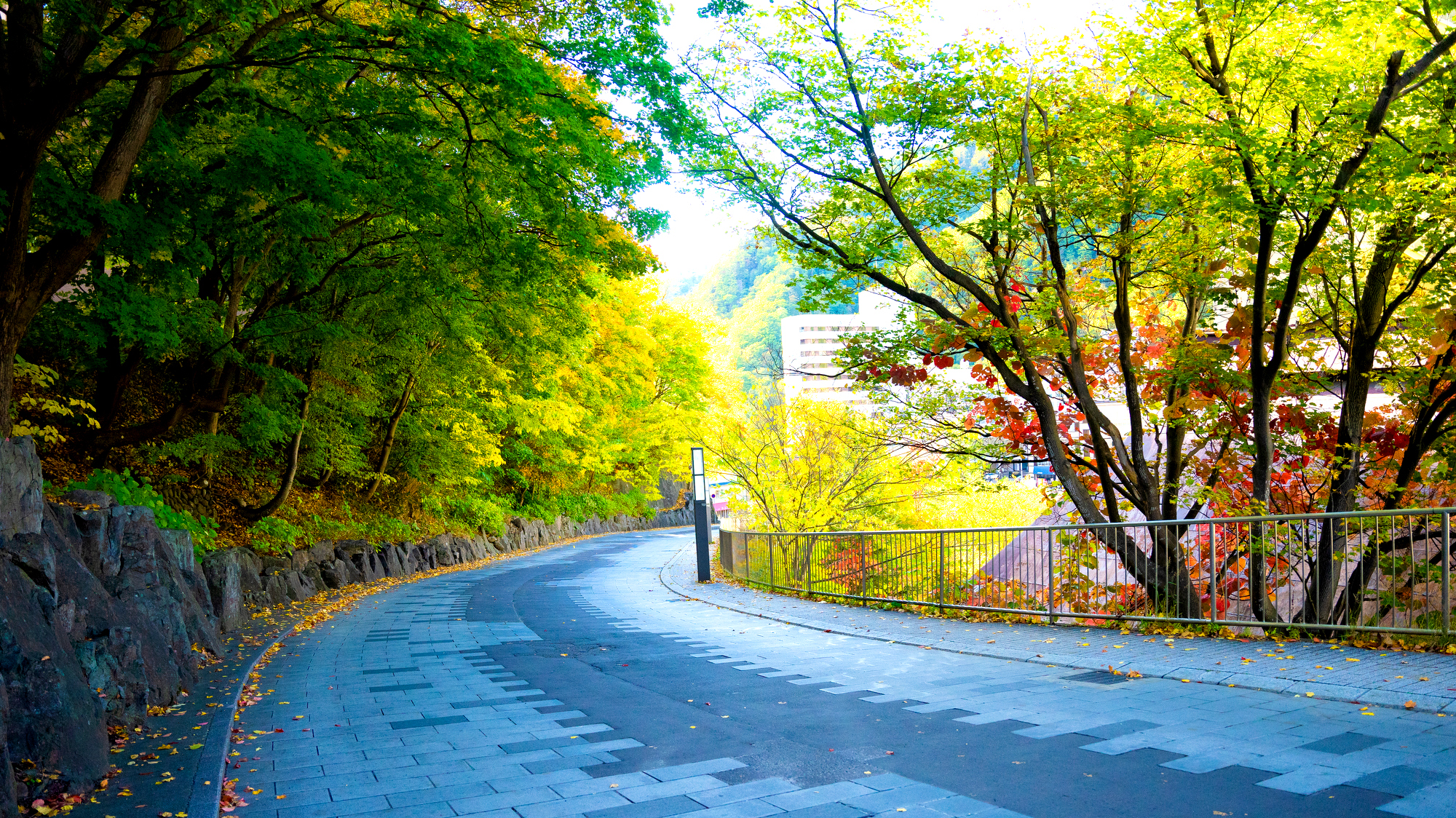 宿周辺の散策路