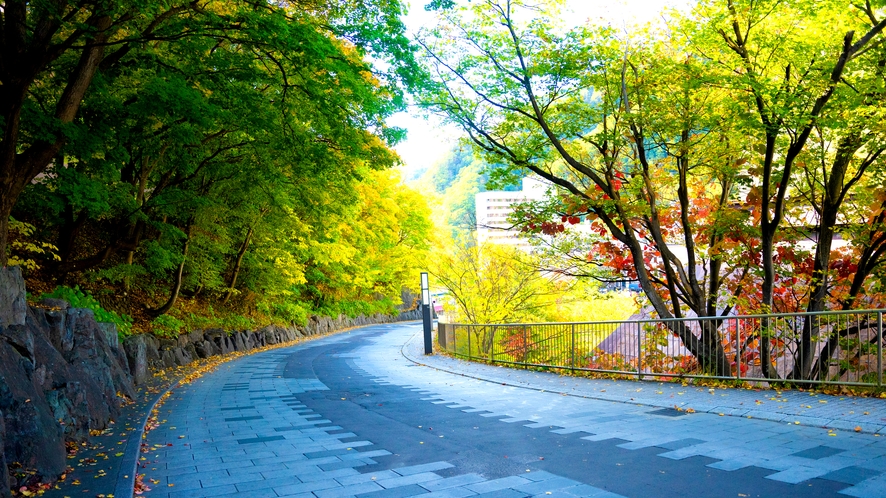 宿周辺の散策路