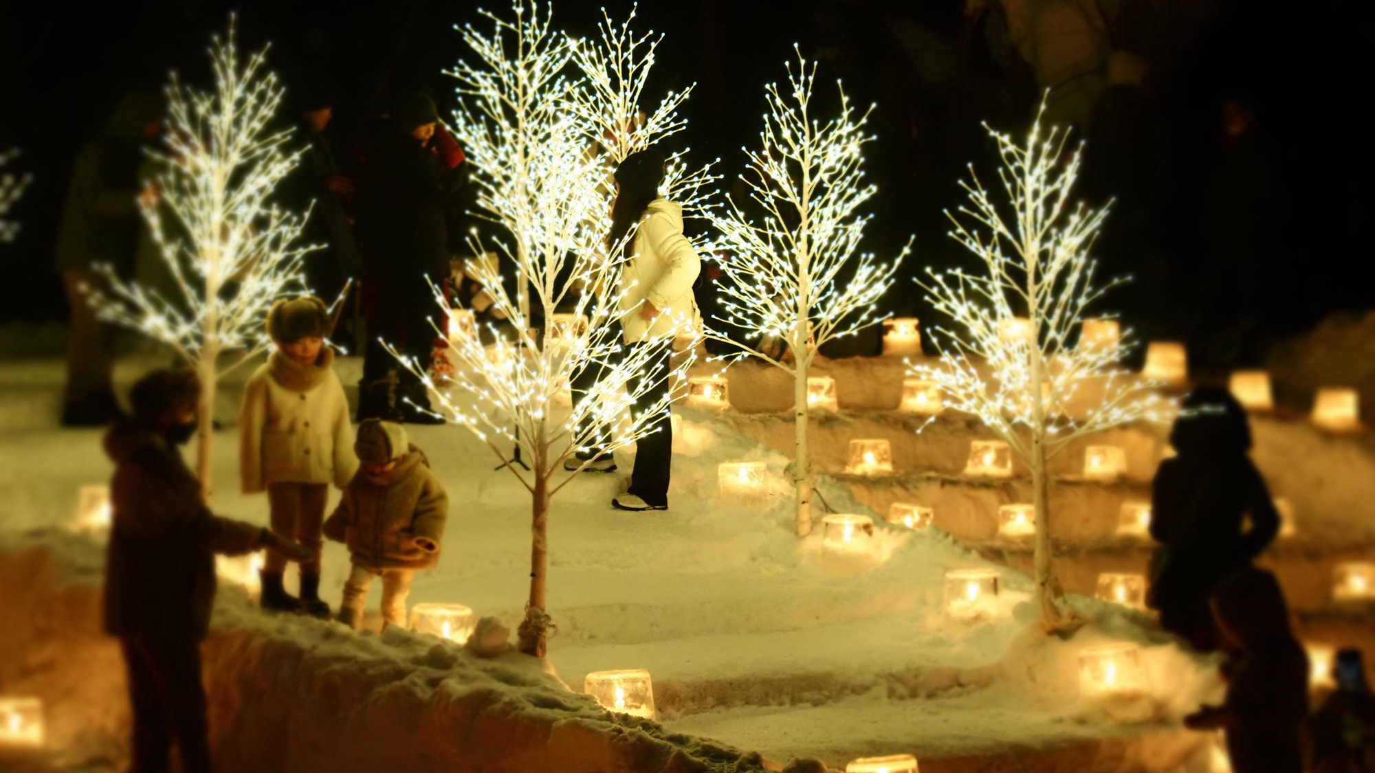 冬のイベント／雪灯路