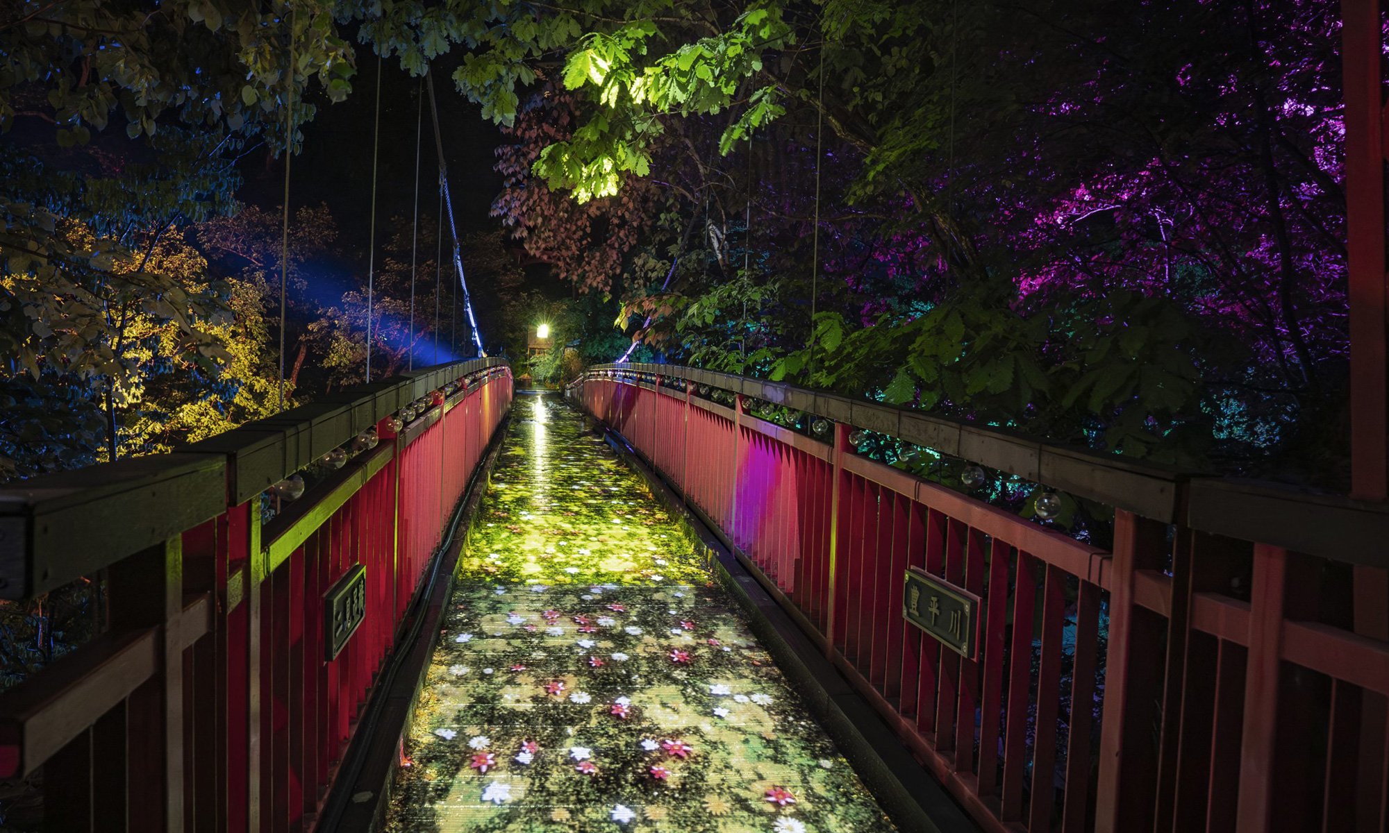 定山渓イルミネーションルミナリエ