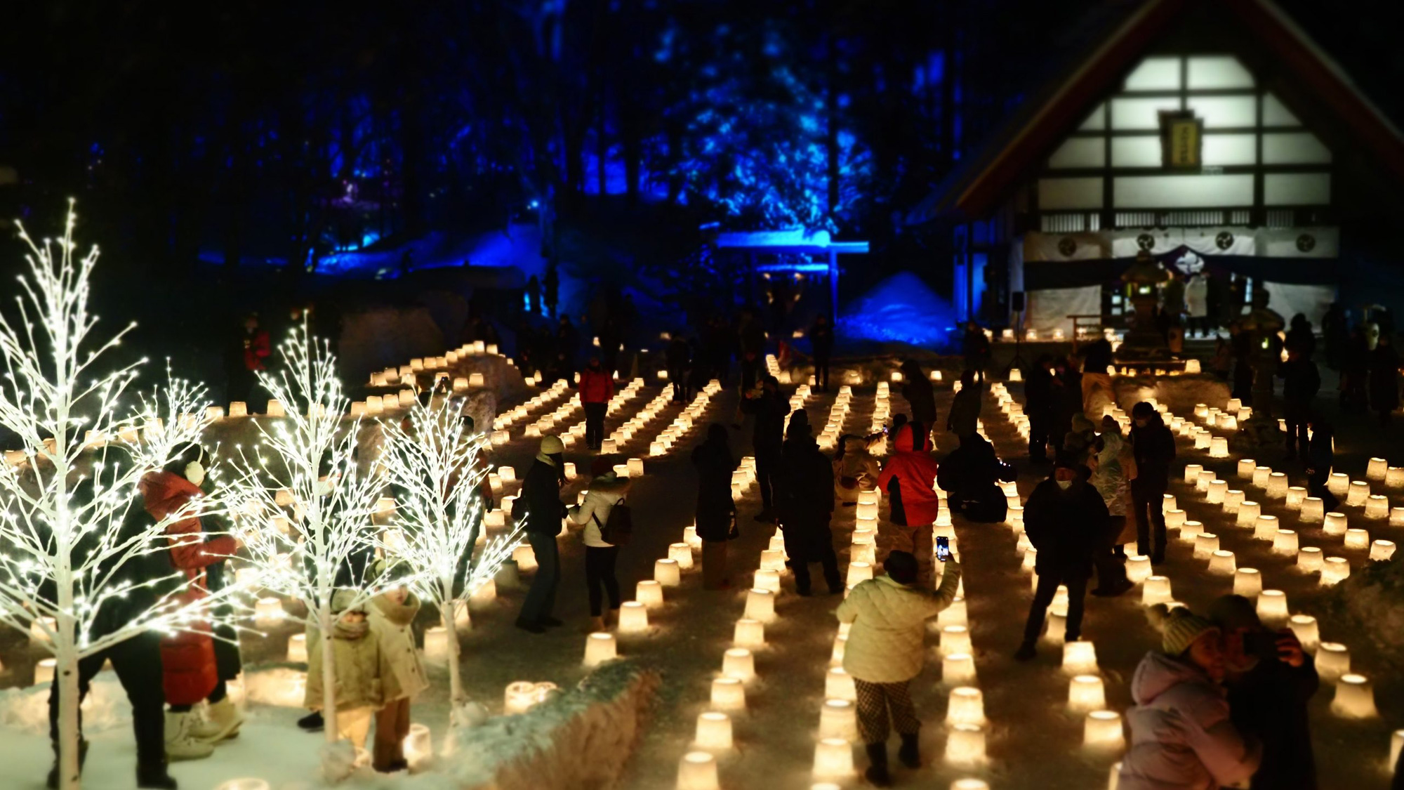 冬のイベント／雪灯路
