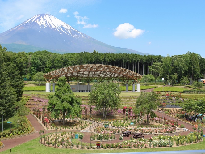 ■富士山樹空の森(写真提供＊御殿場市産業スポーツ部観光交流課)