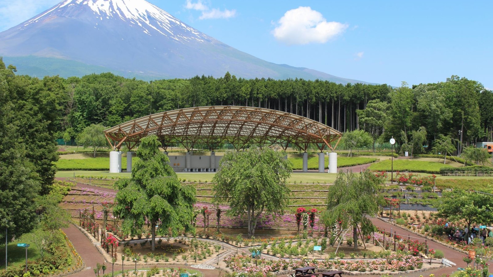■富士山樹空の森(写真提供＊御殿場市産業スポーツ部観光交流課)