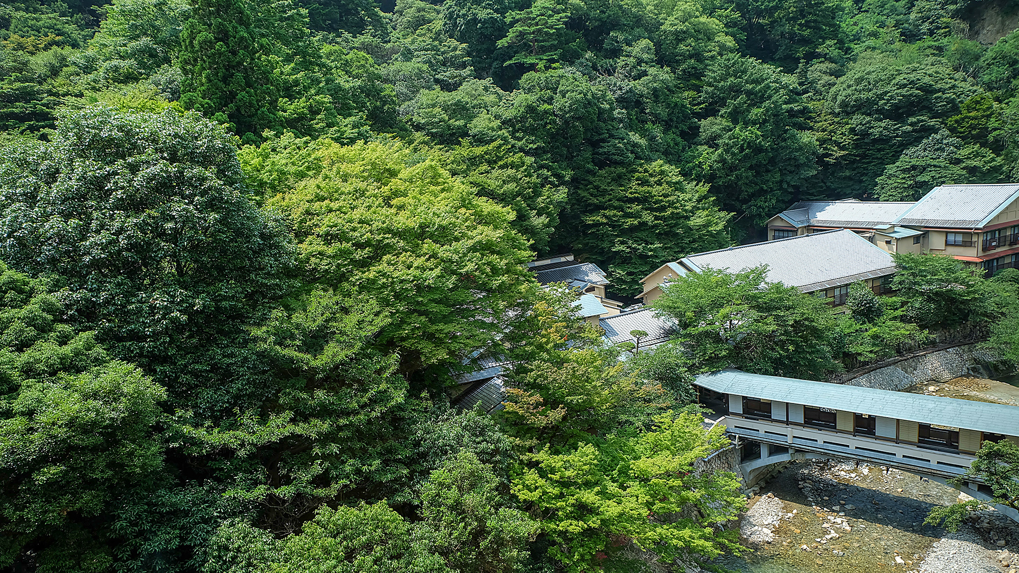 游月山荘・新緑