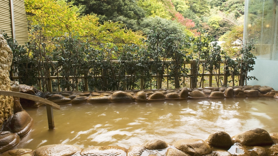 ご婦人大浴場「銀波の湯」◆営業時間：9時～24時／朝6時～8時　※金泉露天風呂、銀泉、サウナあり