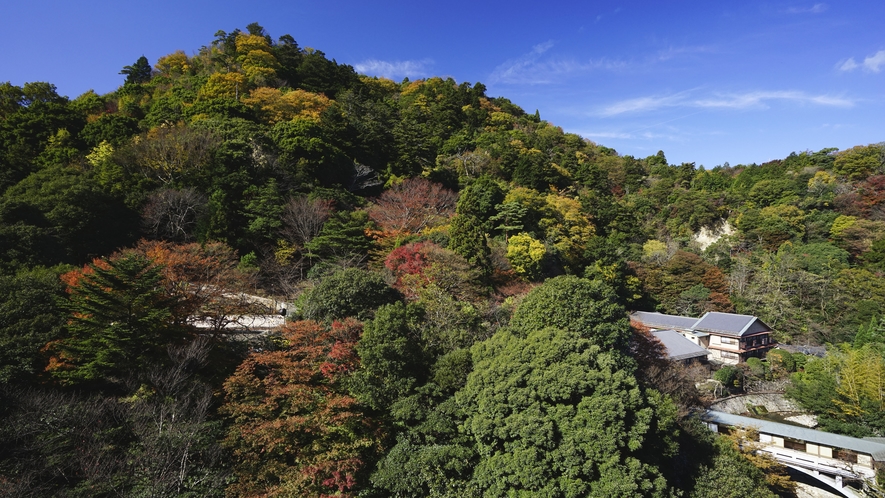 最上階ロイヤルスイート◆「天空の露天風呂」からの景色。四季折々の絶景をお楽しみいただけます。