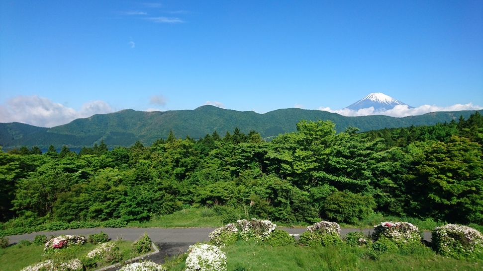 芦ノ湖・富士山側客室【和室確約】1泊二食「禁煙」