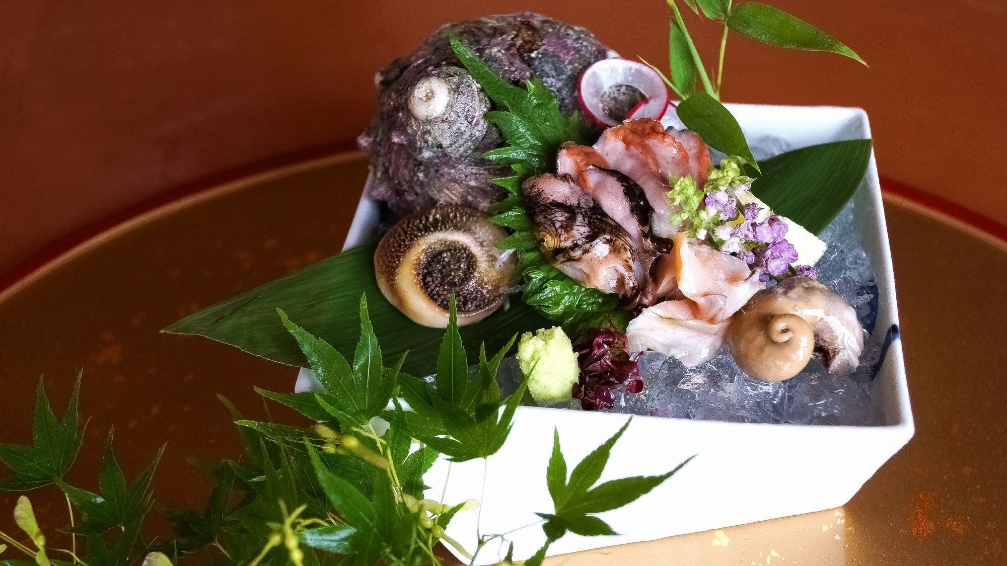 【期間限定】＜ビュッフェ＞食体験！栄螺のお造りに舌鼓♪