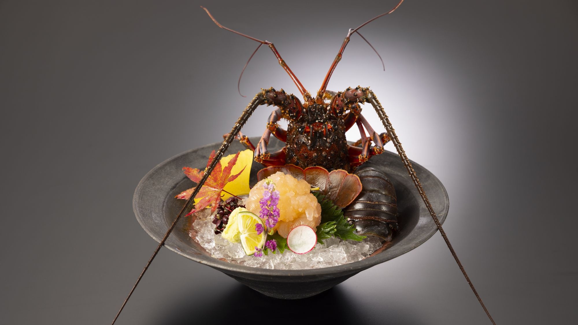 【期間限定】＜ビュッフェ＞職人技が冴える伊勢海老造り付きプラン〜この日だけの特別な海の祝福〜