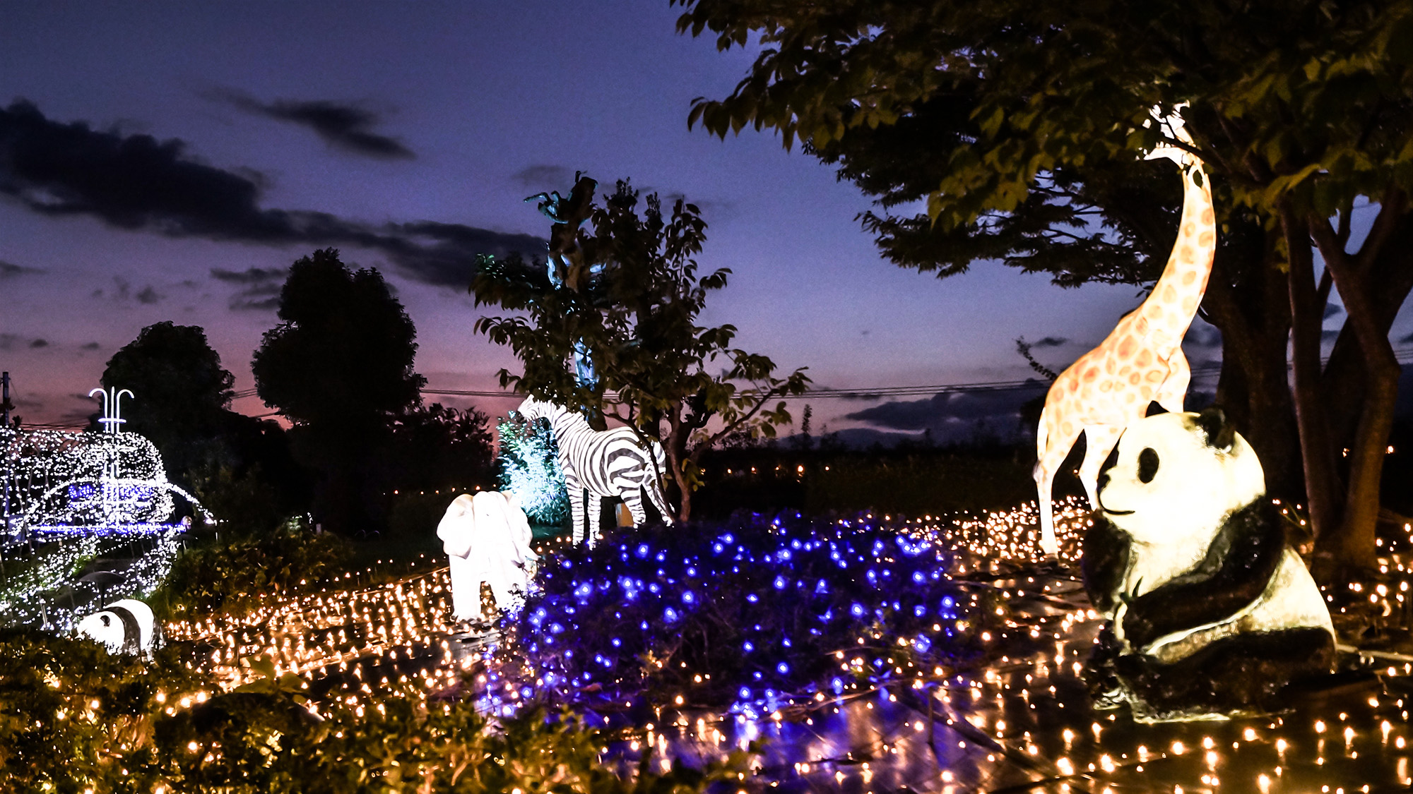 プライベートイルミネーション『イルミナスオーシャン』